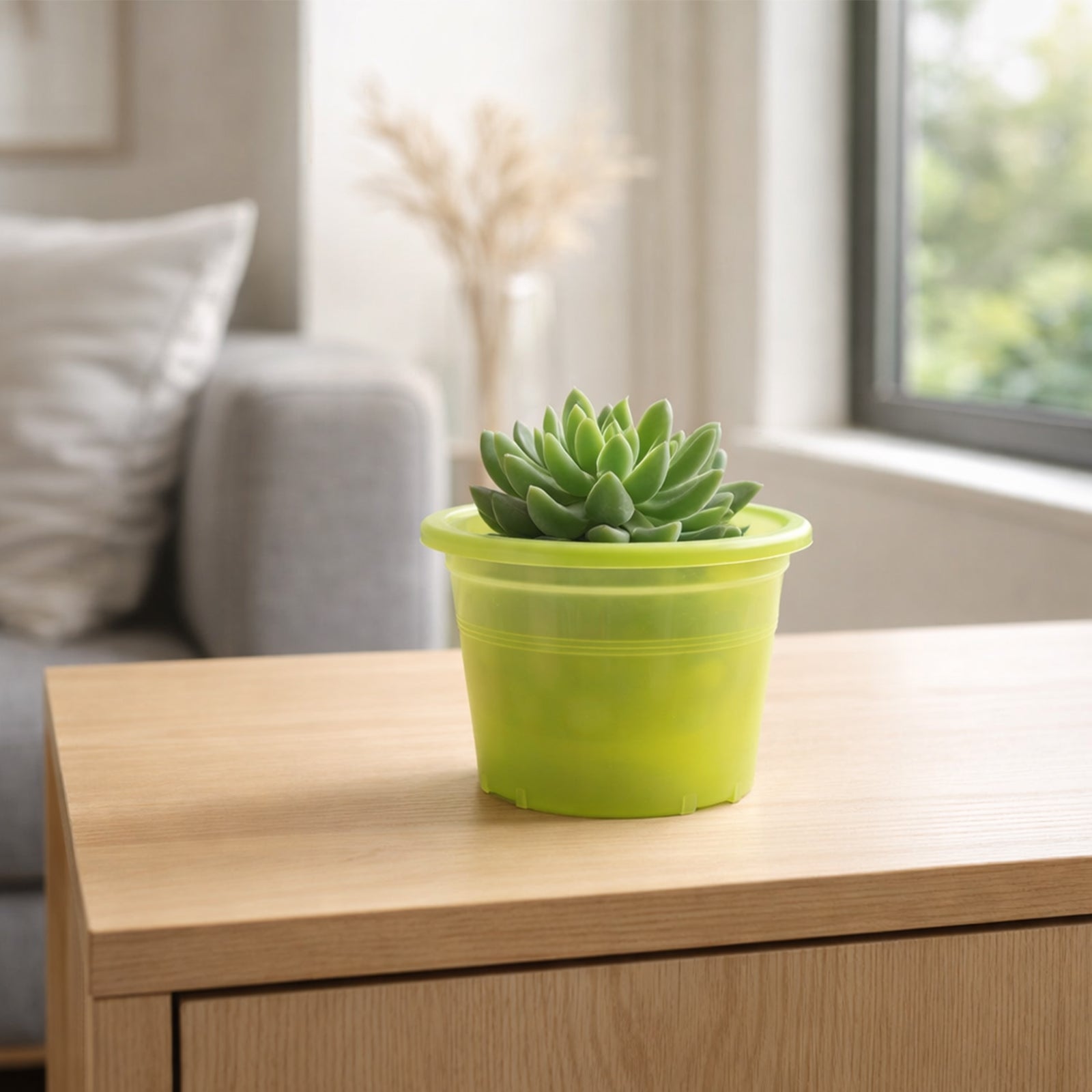 Eden green transparent cylinder planter ideal for indoor plants and herbs