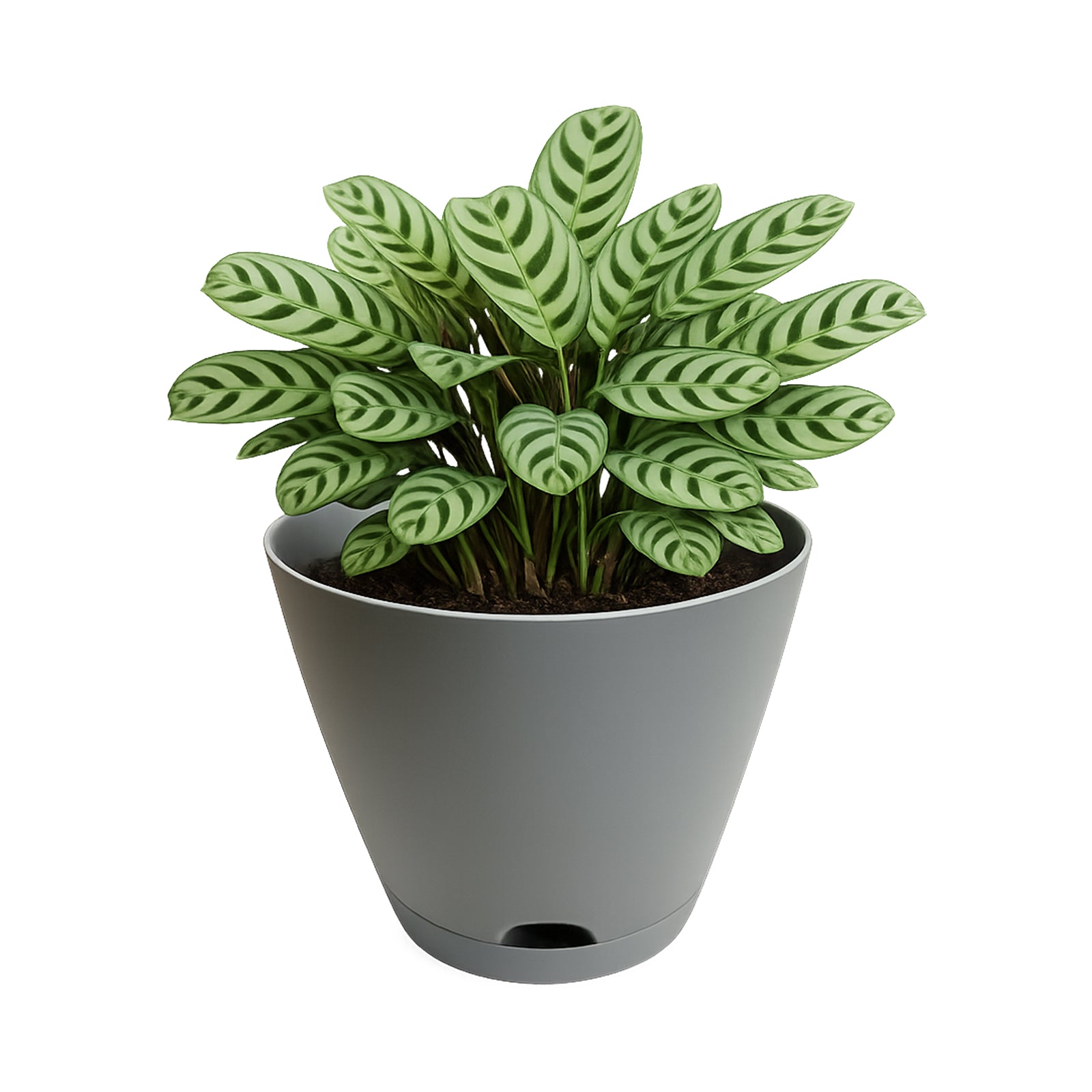 Eden grey Oslo self-watering planter for medium garden and balcony plants