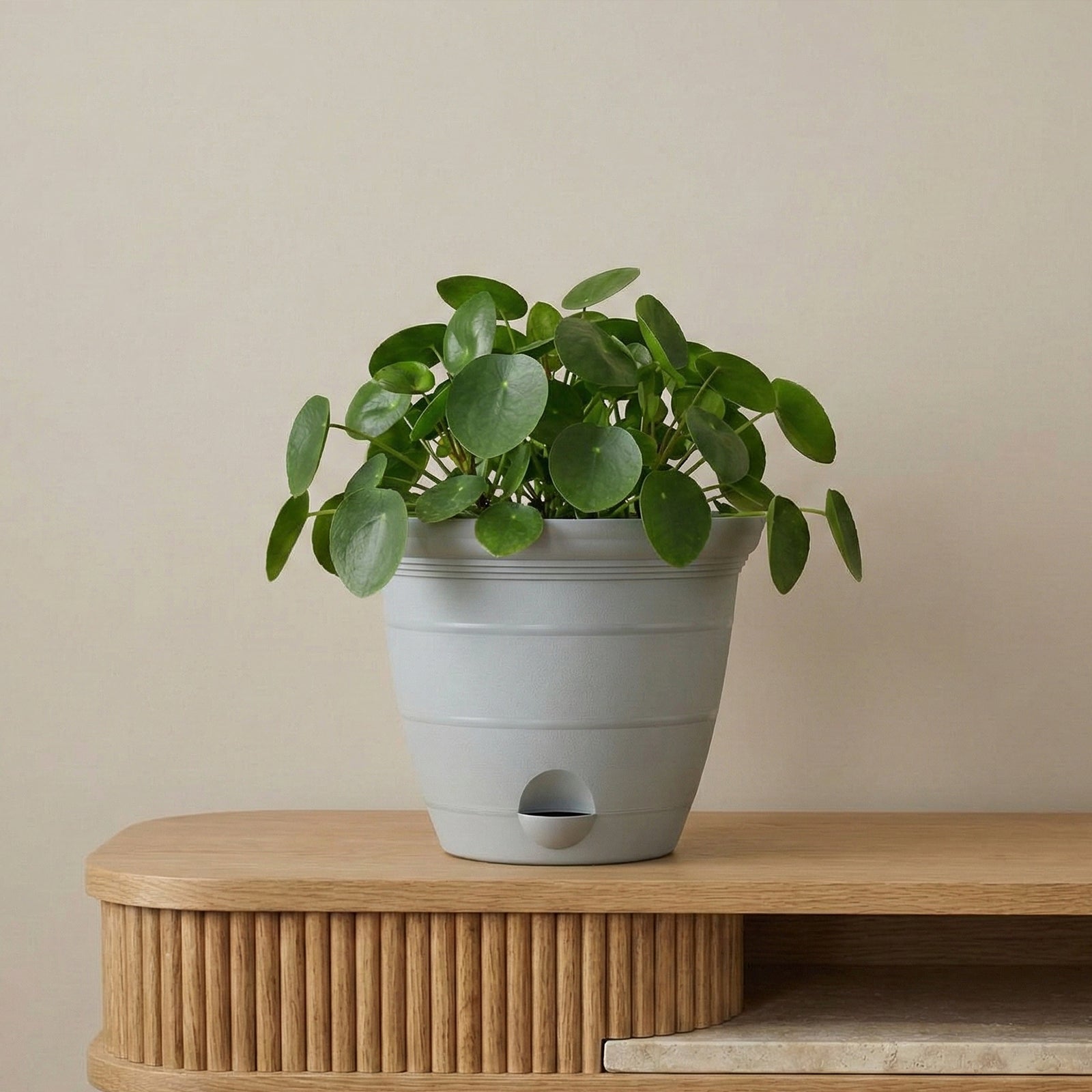 Eden grey Roman self-watering planter for medium garden and patio plants