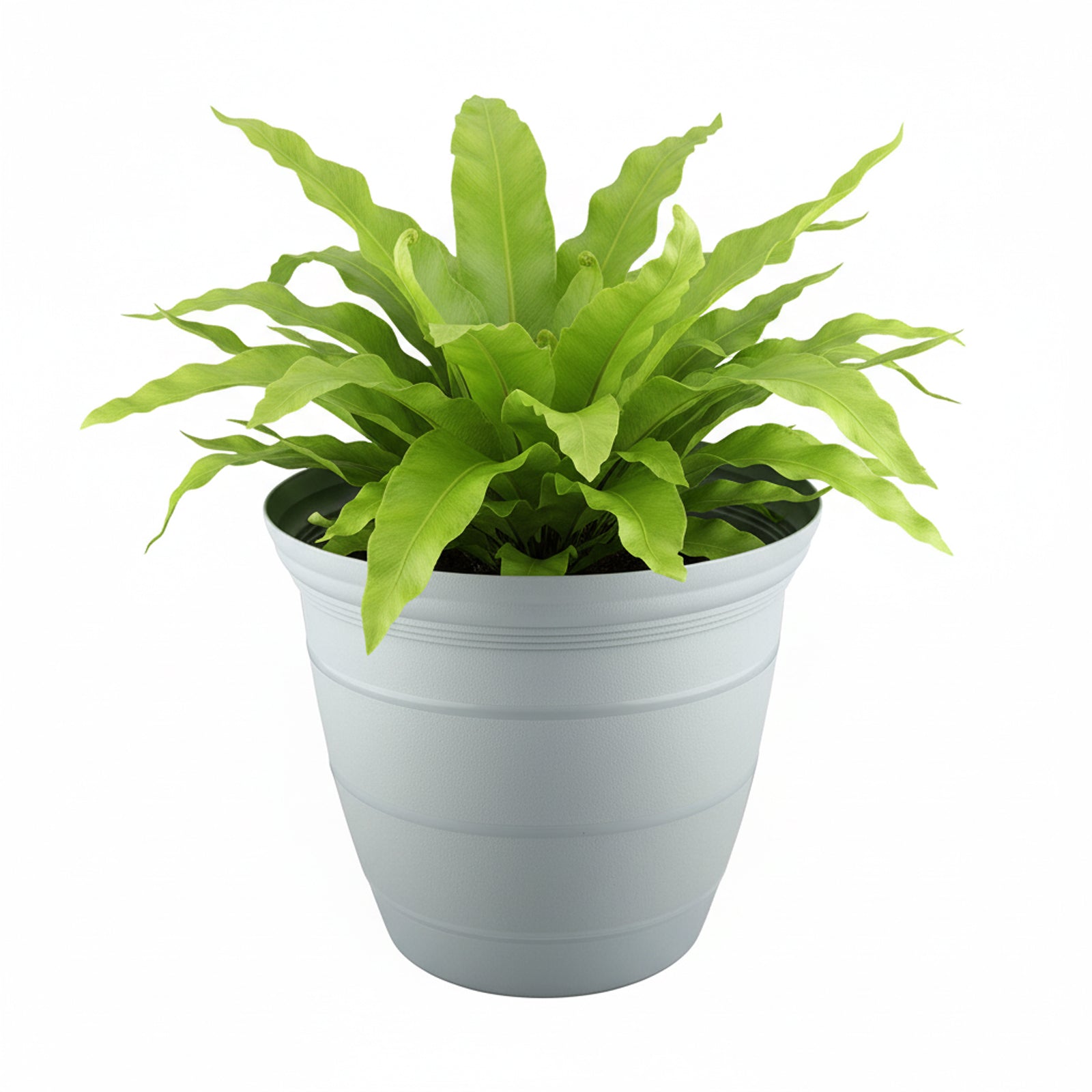 Eden grey Roman self-watering planter for medium garden and patio plants