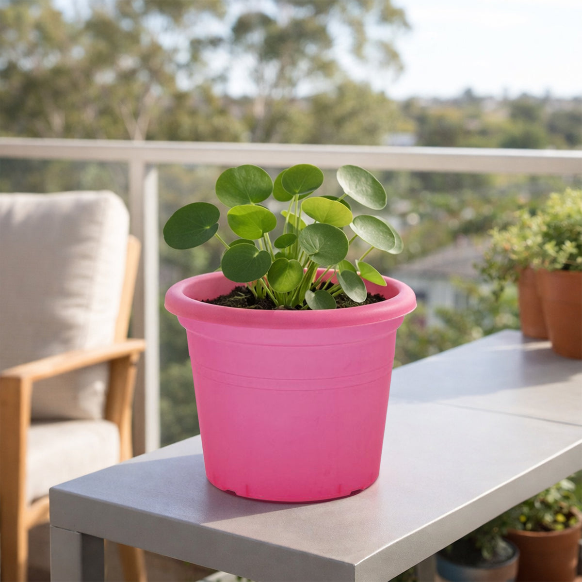 Eden red transparent cylinder planter for colourful indoor plant styling