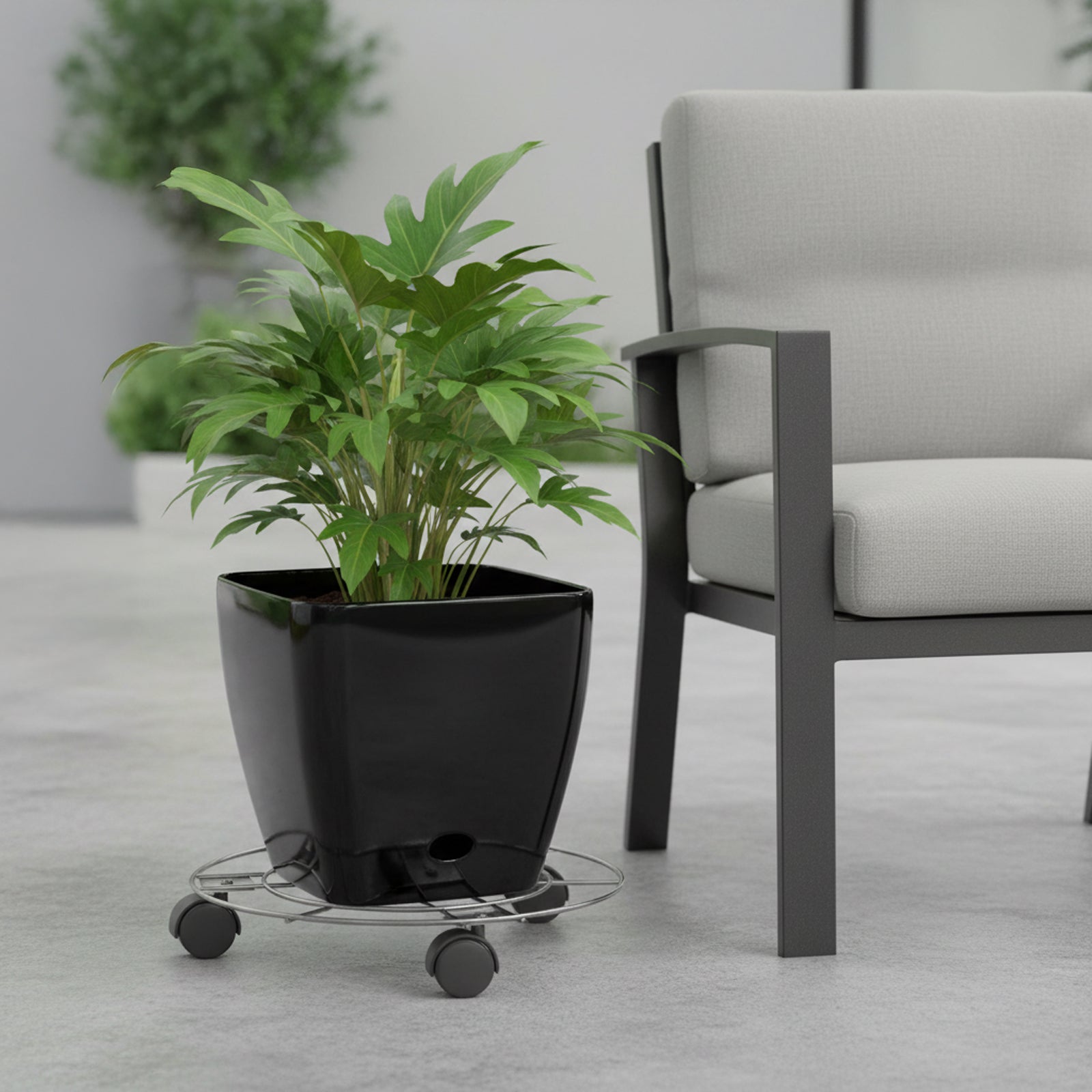 Eden 25cm round pot plant trolley for easy movement of indoor and outdoor planters