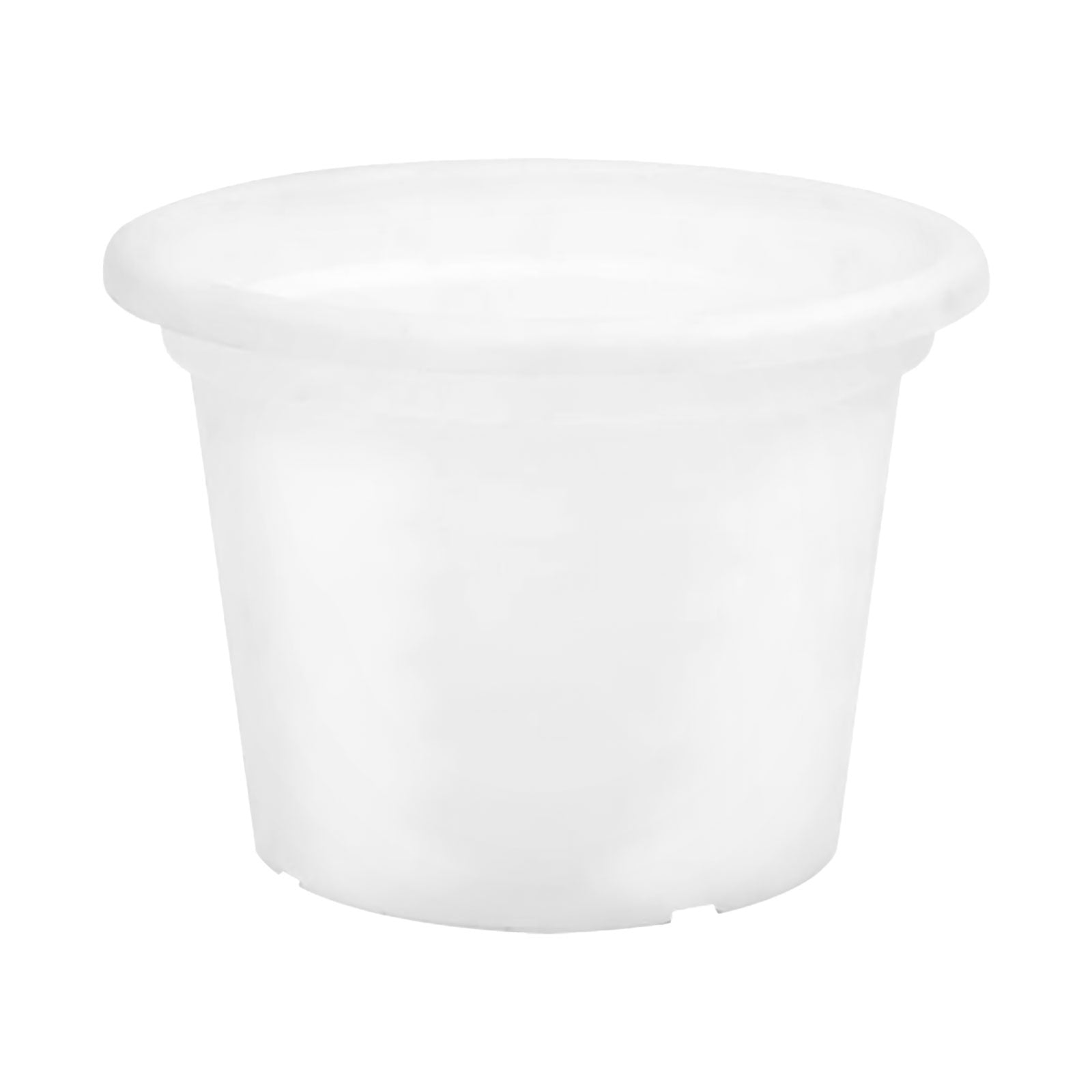 Eden white transparent cylinder planter for clean modern indoor décor