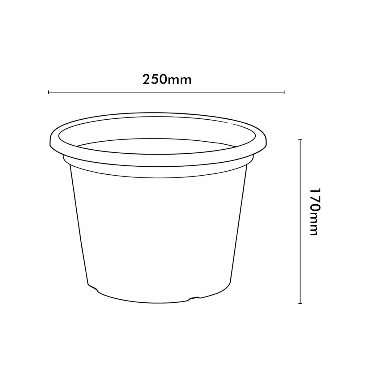 Eden white transparent cylinder planter for clean modern indoor décor