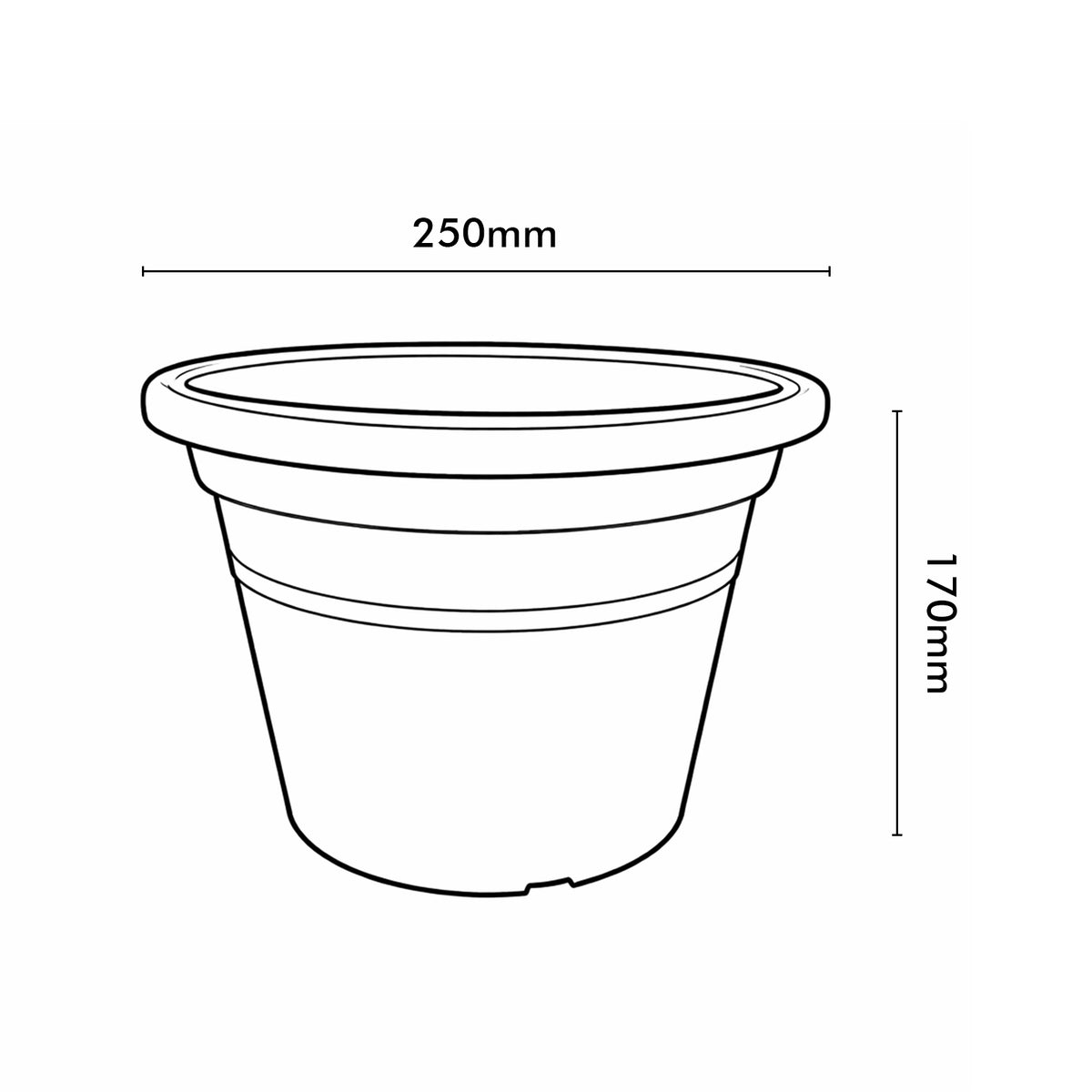 Eden yellow transparent cylinder planter for bright indoor plant display