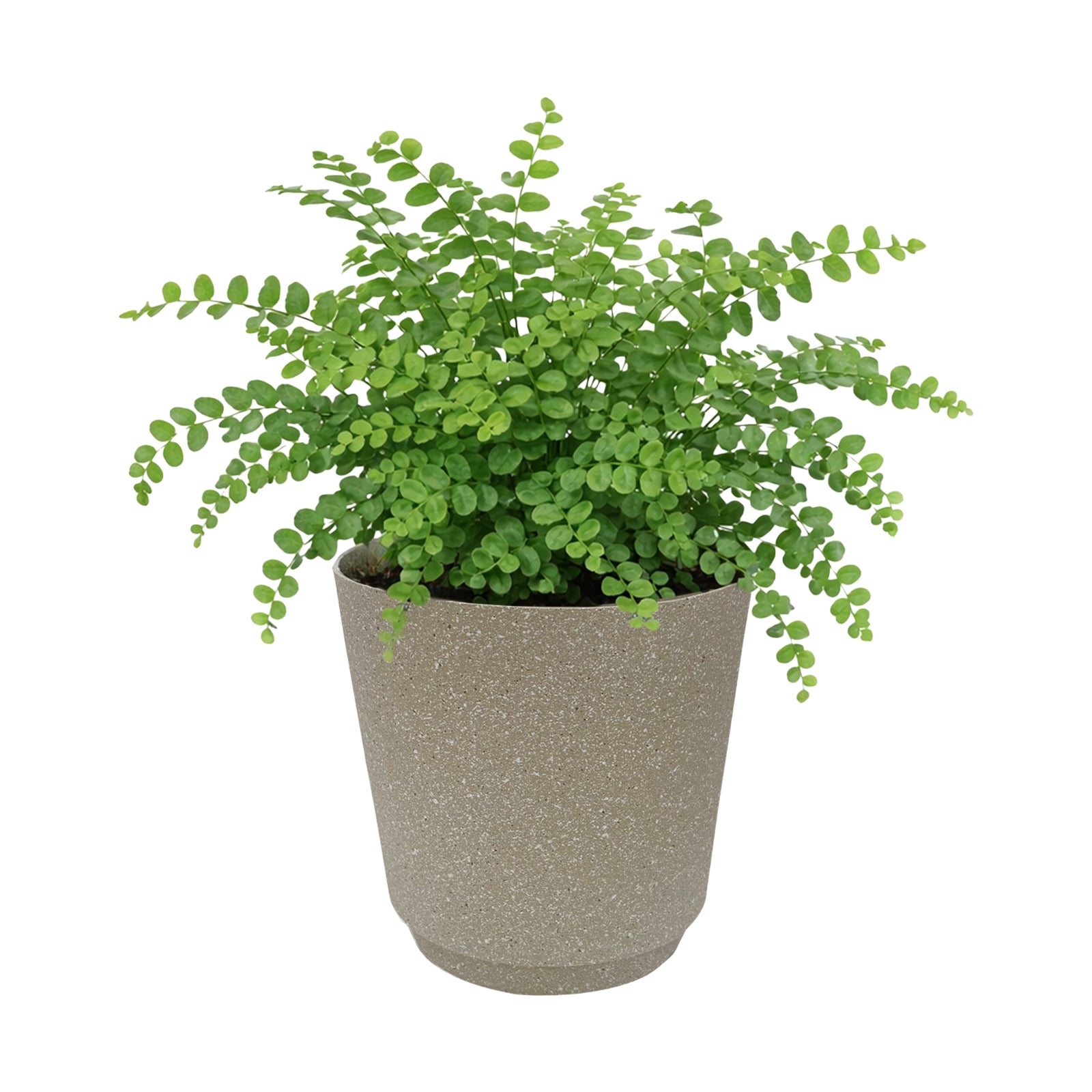 Eden large beige Stonelite self-watering pot for indoor and outdoor plants