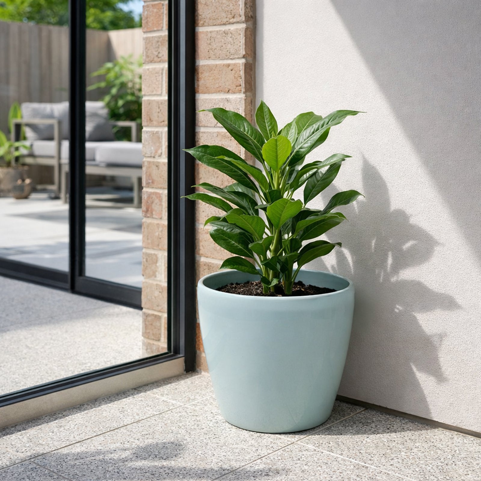 Eden blue premium self-watering planter for patios and modern gardens