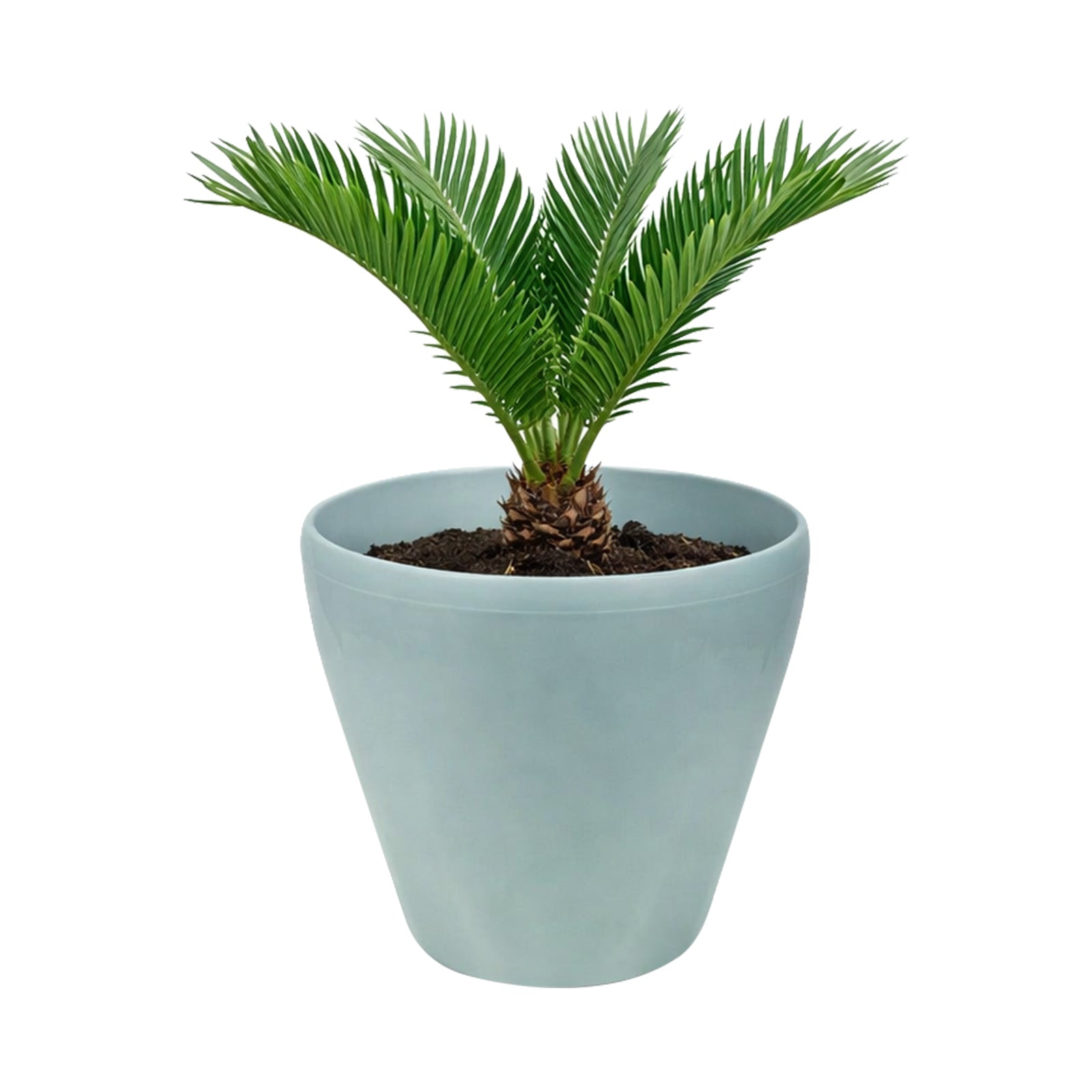 Eden blue premium self-watering planter for patios and modern gardens