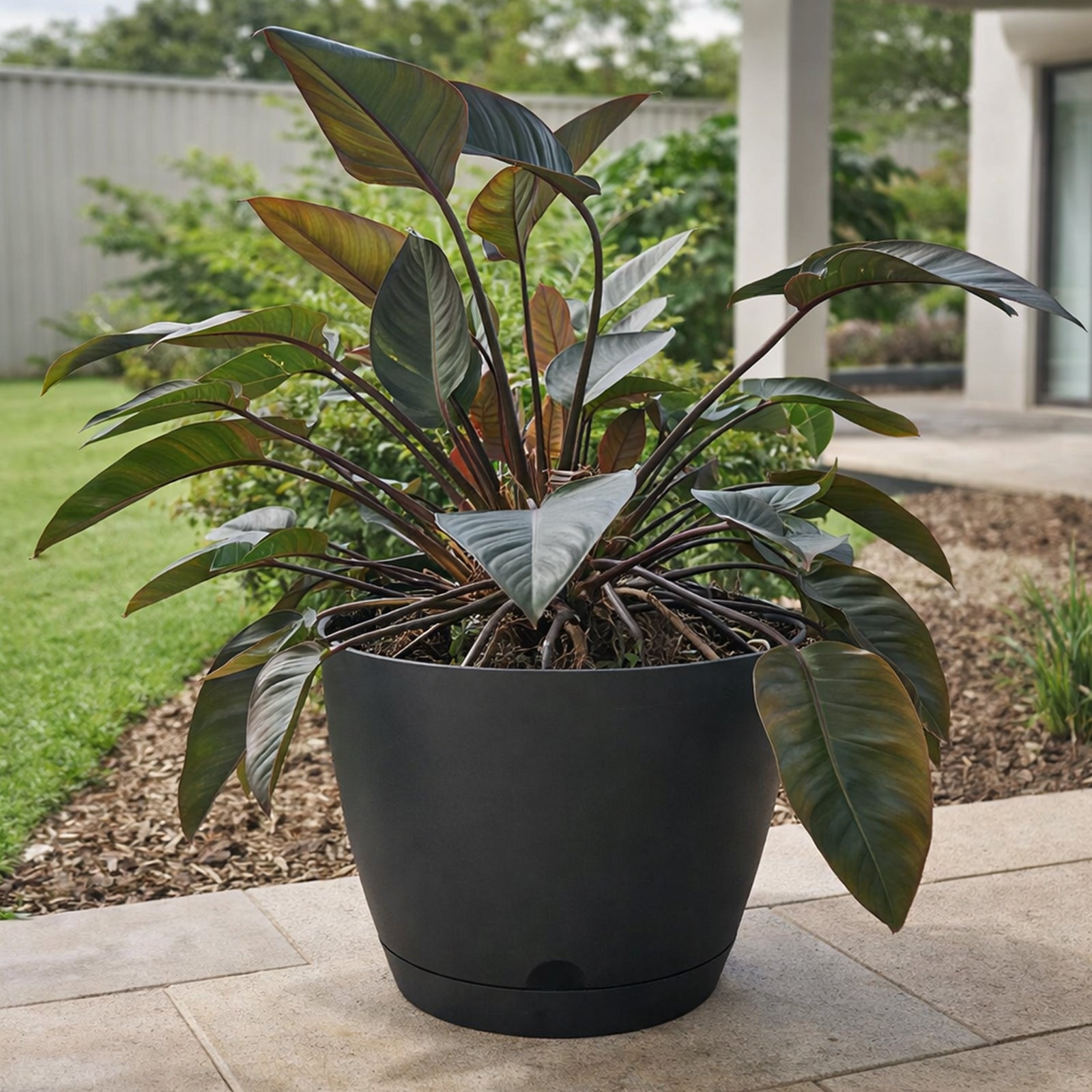 Eden charcoal Oslo self-watering planter for feature indoor and outdoor plants