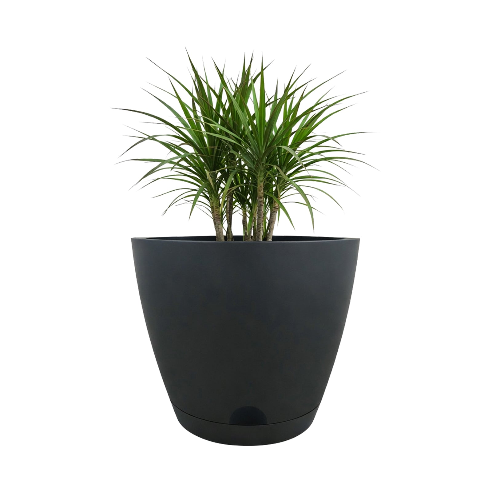 Eden charcoal Oslo self-watering planter for feature indoor and outdoor plants