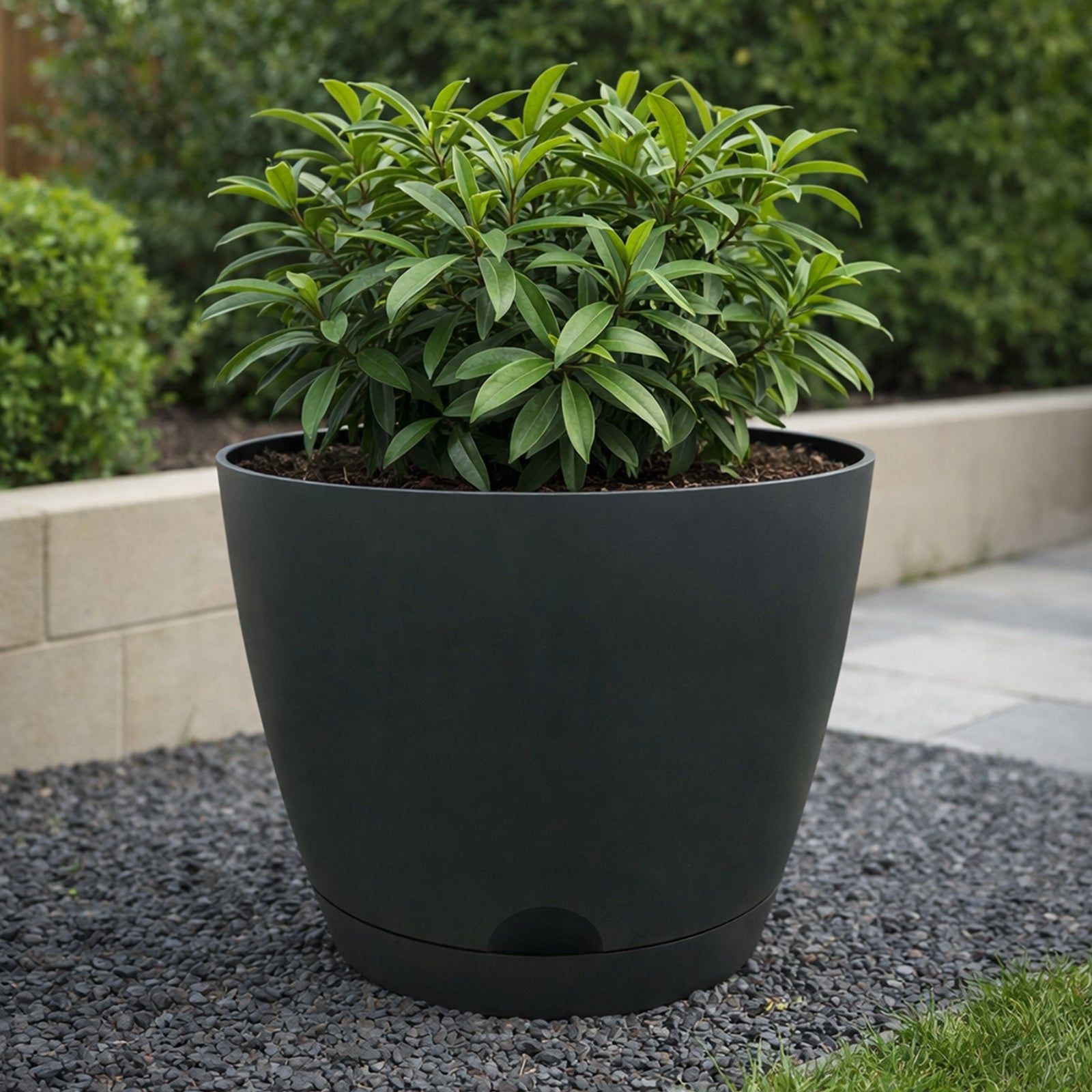 Eden charcoal Oslo self-watering planter for feature indoor and outdoor plants