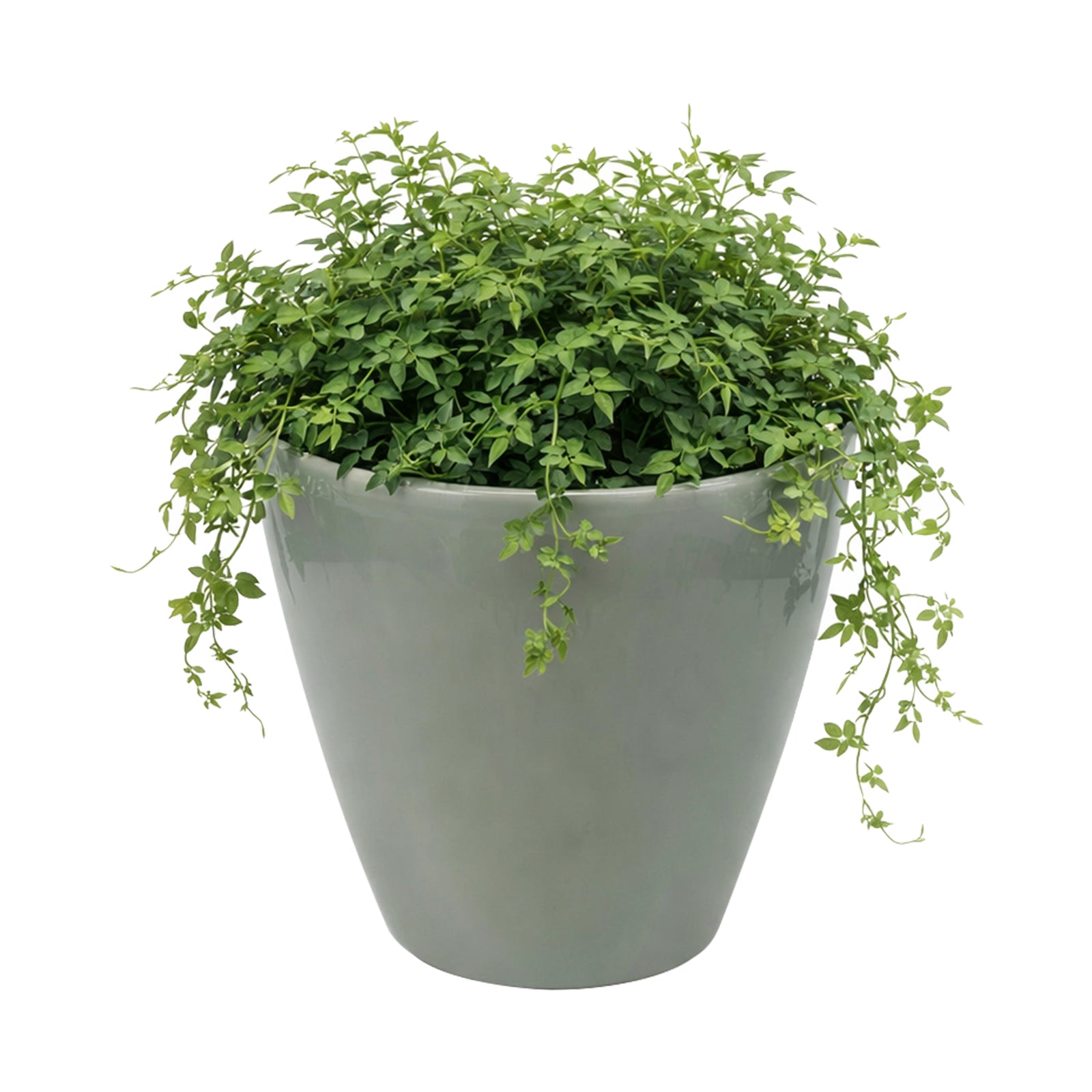 Eden sage round self-watering plastic planter for indoor and outdoor use