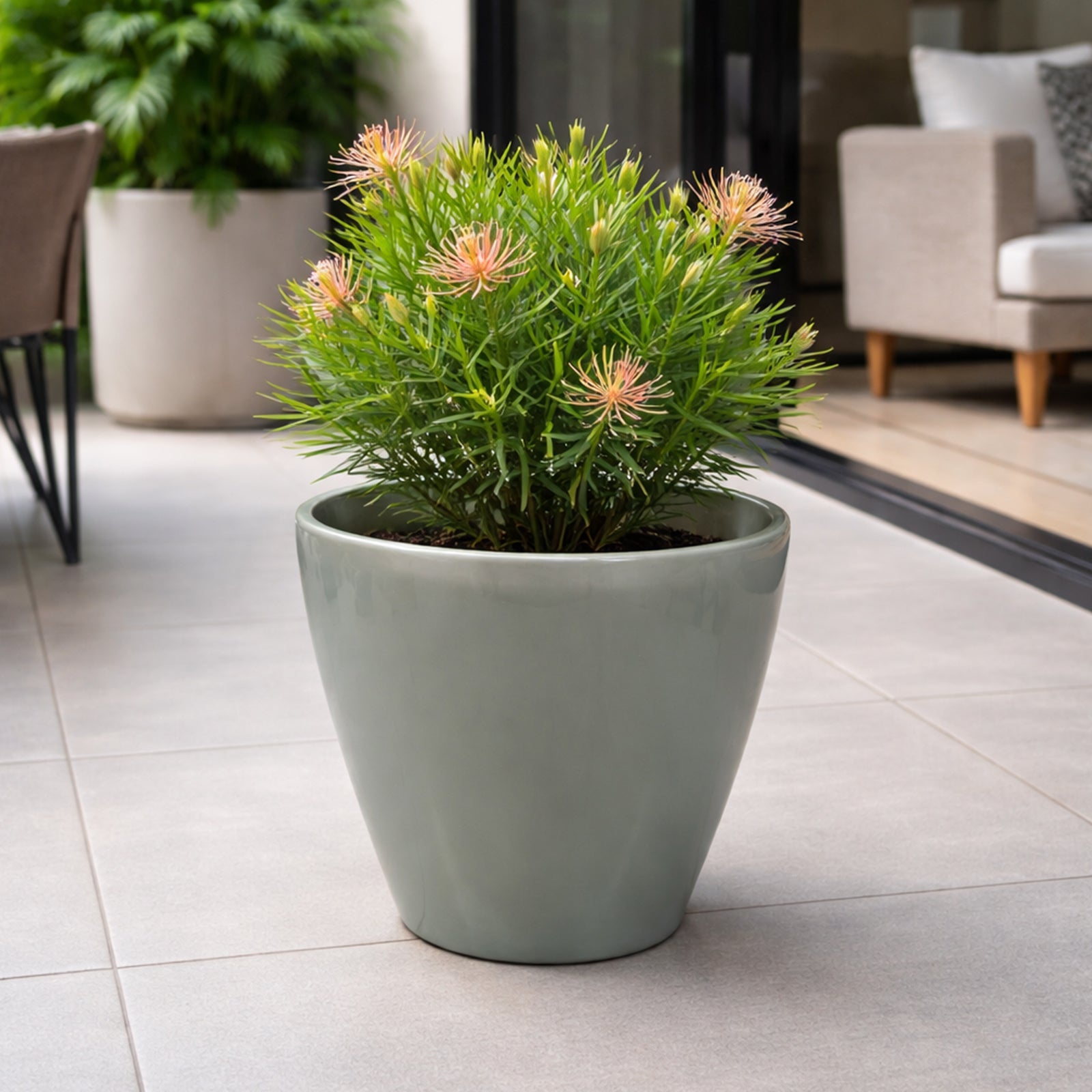Eden sage round self-watering plastic planter for indoor and outdoor use