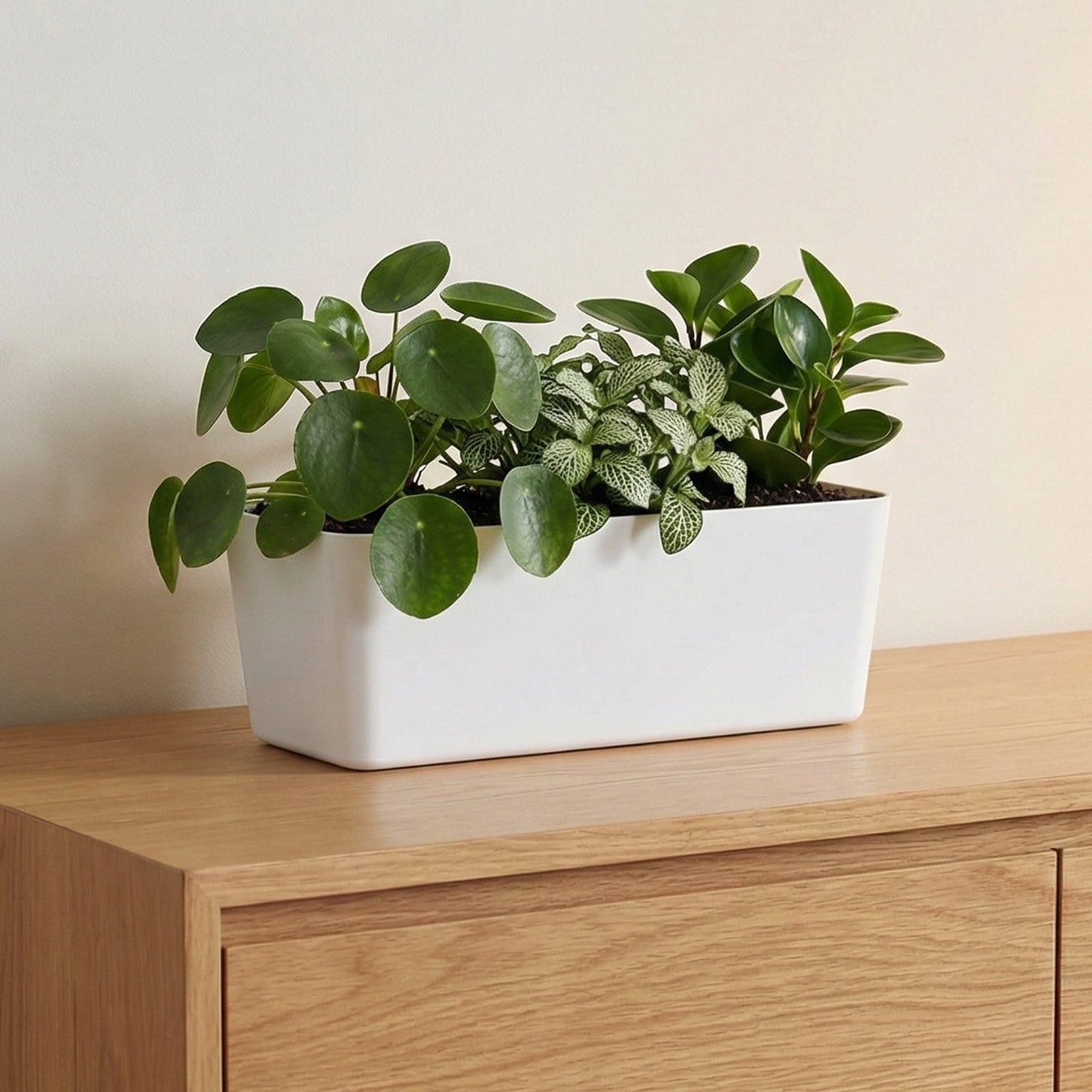 Eden 28cm white self-watering trough planter ideal for indoor plants and easy care watering