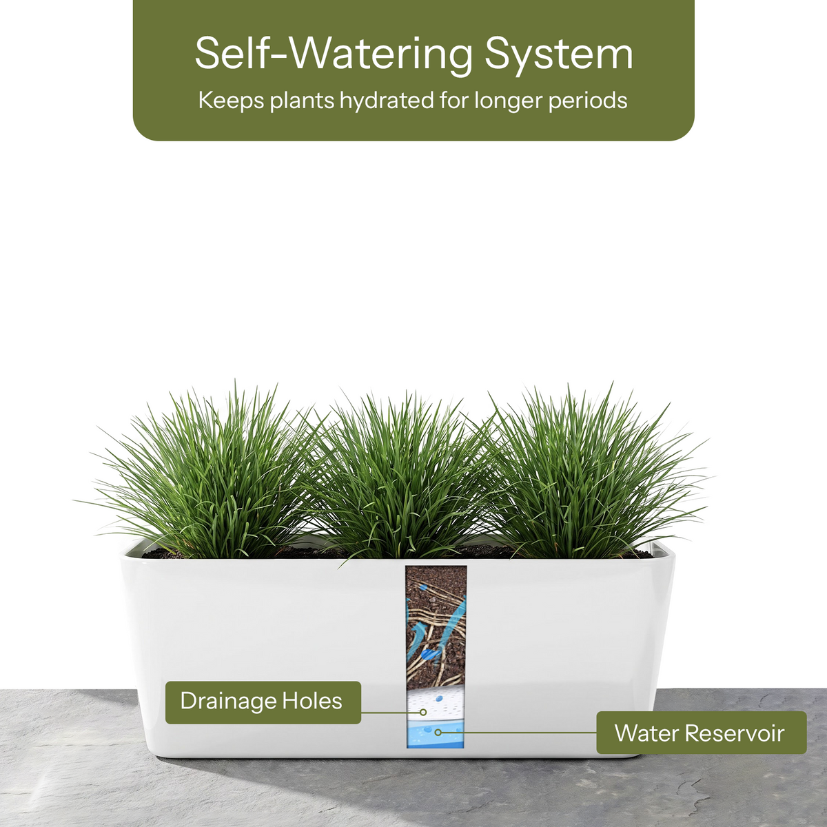 Eden 28cm white self-watering trough planter ideal for indoor plants and easy care watering