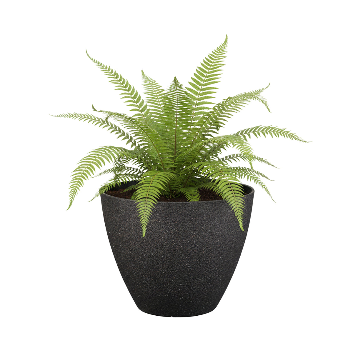 Eden 30cm black faux planter suitable for indoor and outdoor plant display