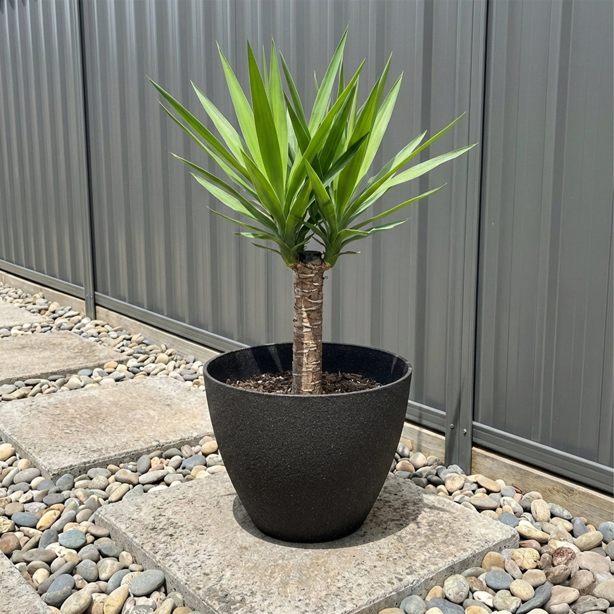 Eden 30cm black faux planter suitable for indoor and outdoor plant display