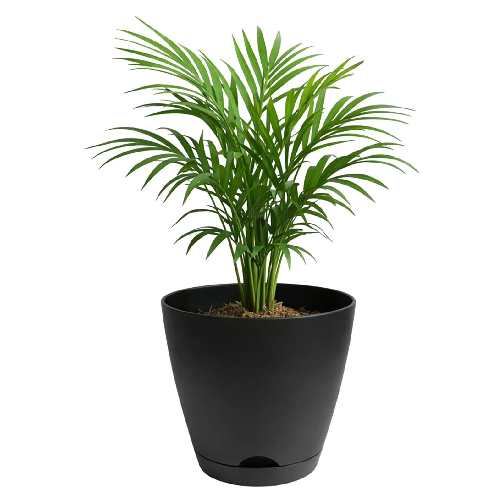 Eden large charcoal Oslo self-watering planter for patios and balconies