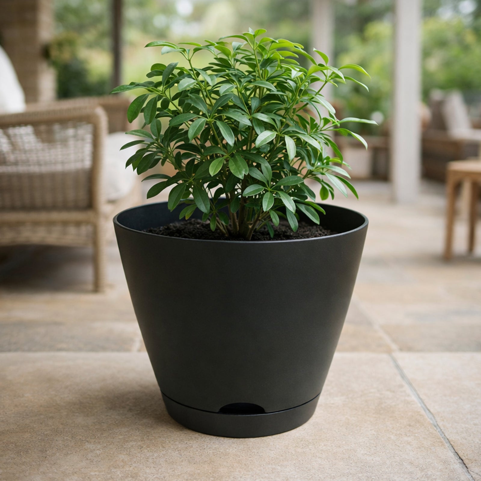 Eden large charcoal Oslo self-watering planter for patios and balconies