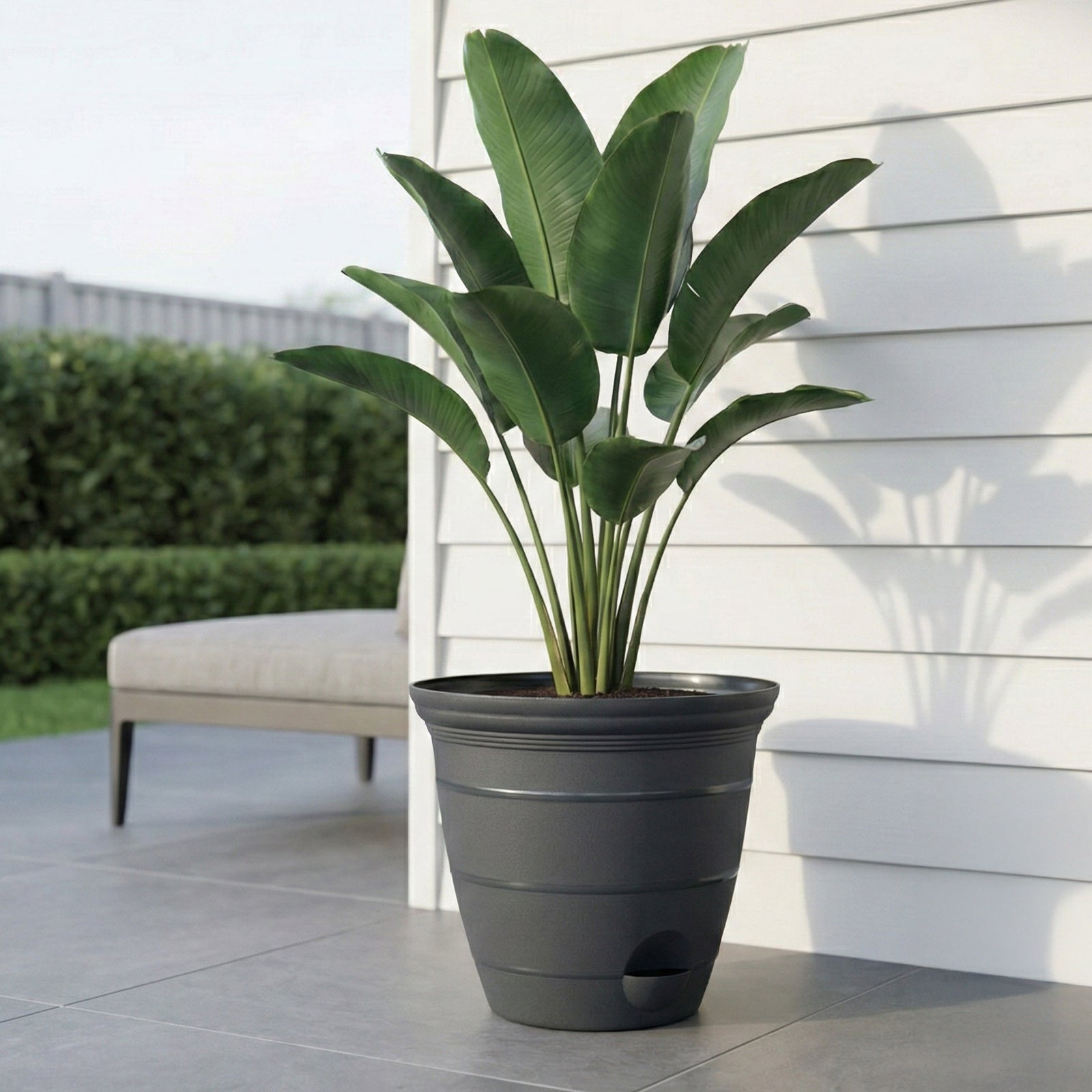 Eden large charcoal Roman self-watering planter for patios and gardens