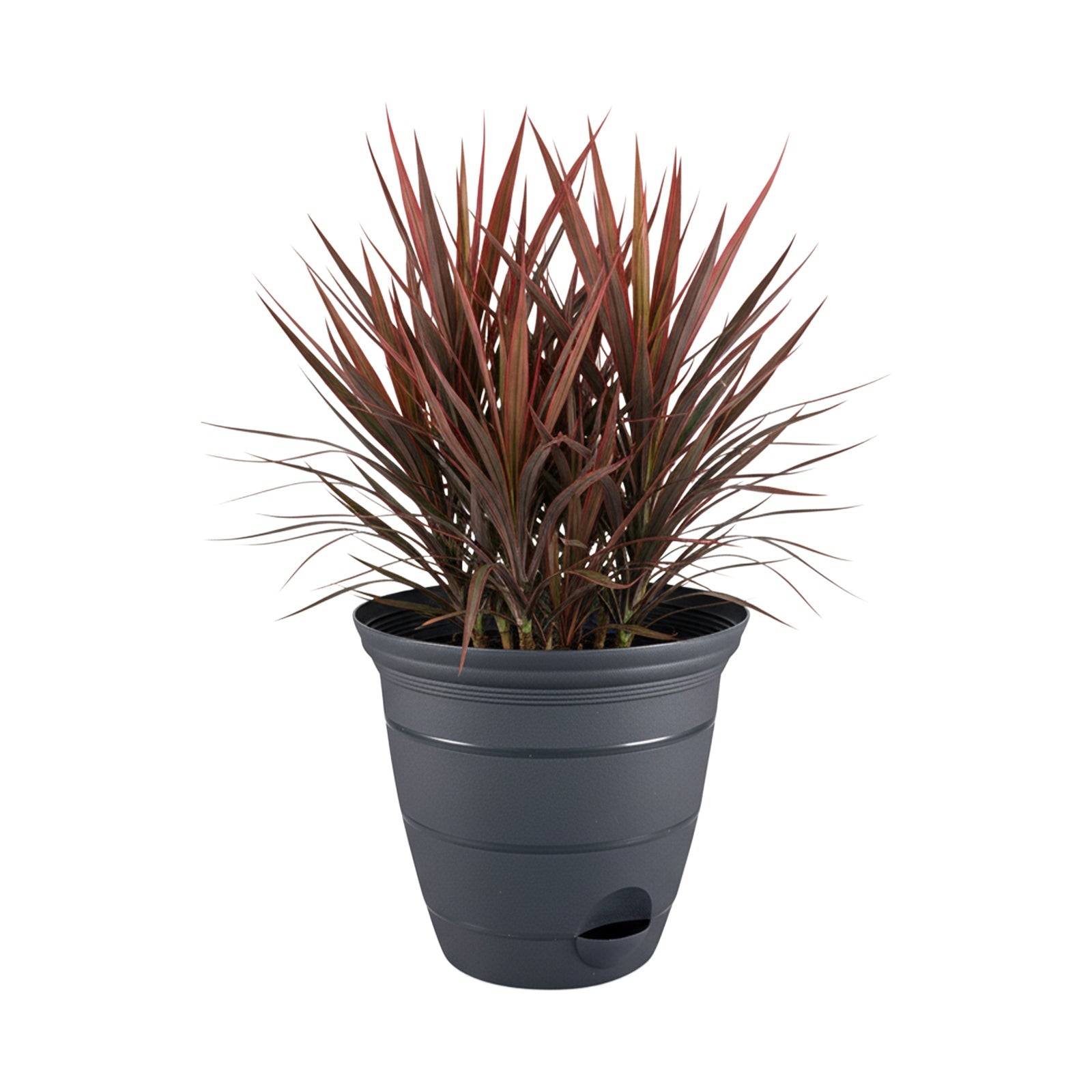 Eden large charcoal Roman self-watering planter for patios and gardens