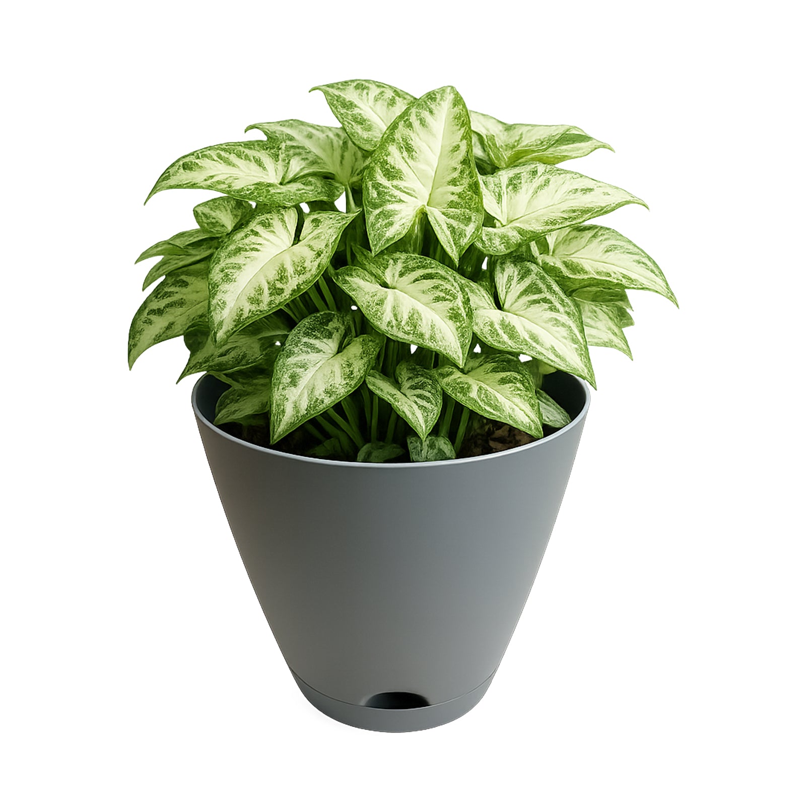 Eden 30cm grey Oslo self-watering planter for patios and outdoor spaces