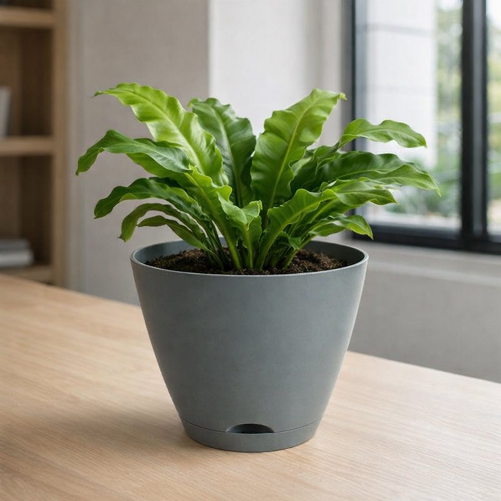 Eden 30cm grey Oslo self-watering planter for patios and outdoor spaces