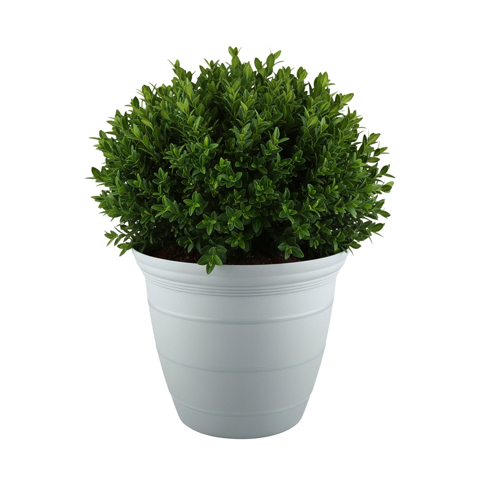 Eden large grey Roman self-watering planter for balconies and gardens