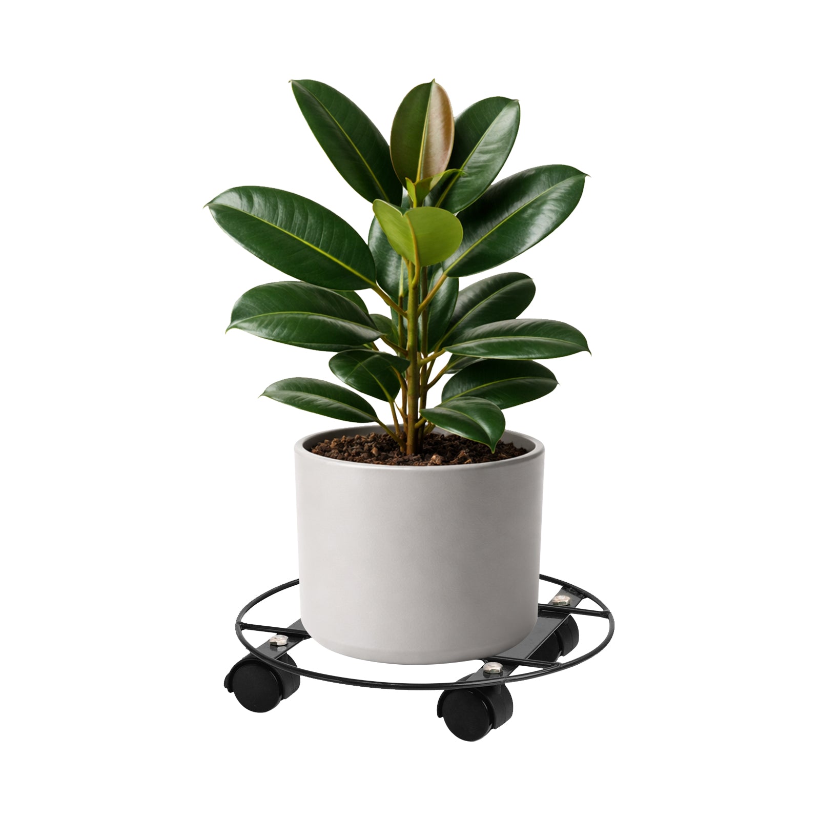 Eden 30cm heavy duty round pot plant trolley for supporting and moving heavy planters