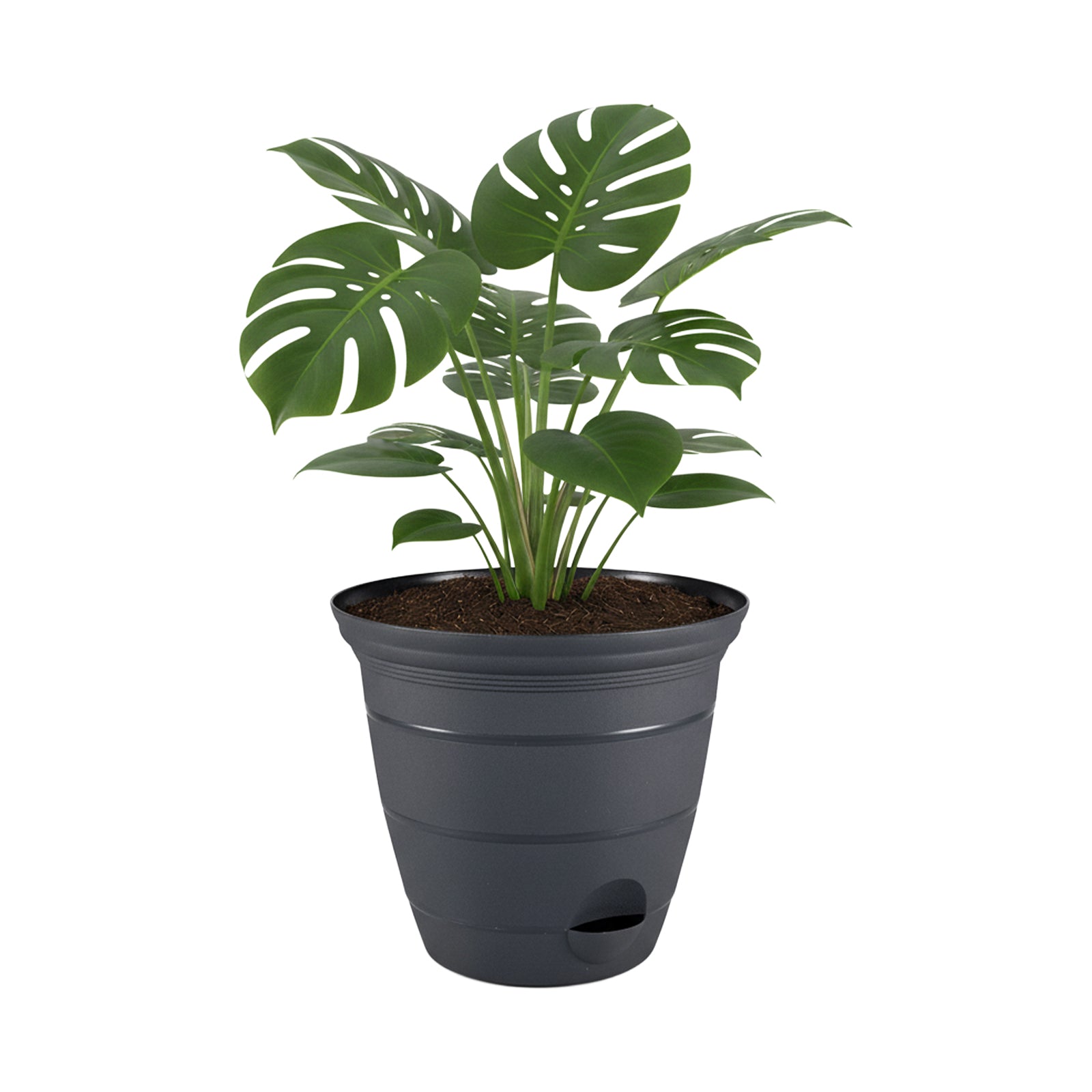 Eden 38cm charcoal Roman self-watering planter for feature plants