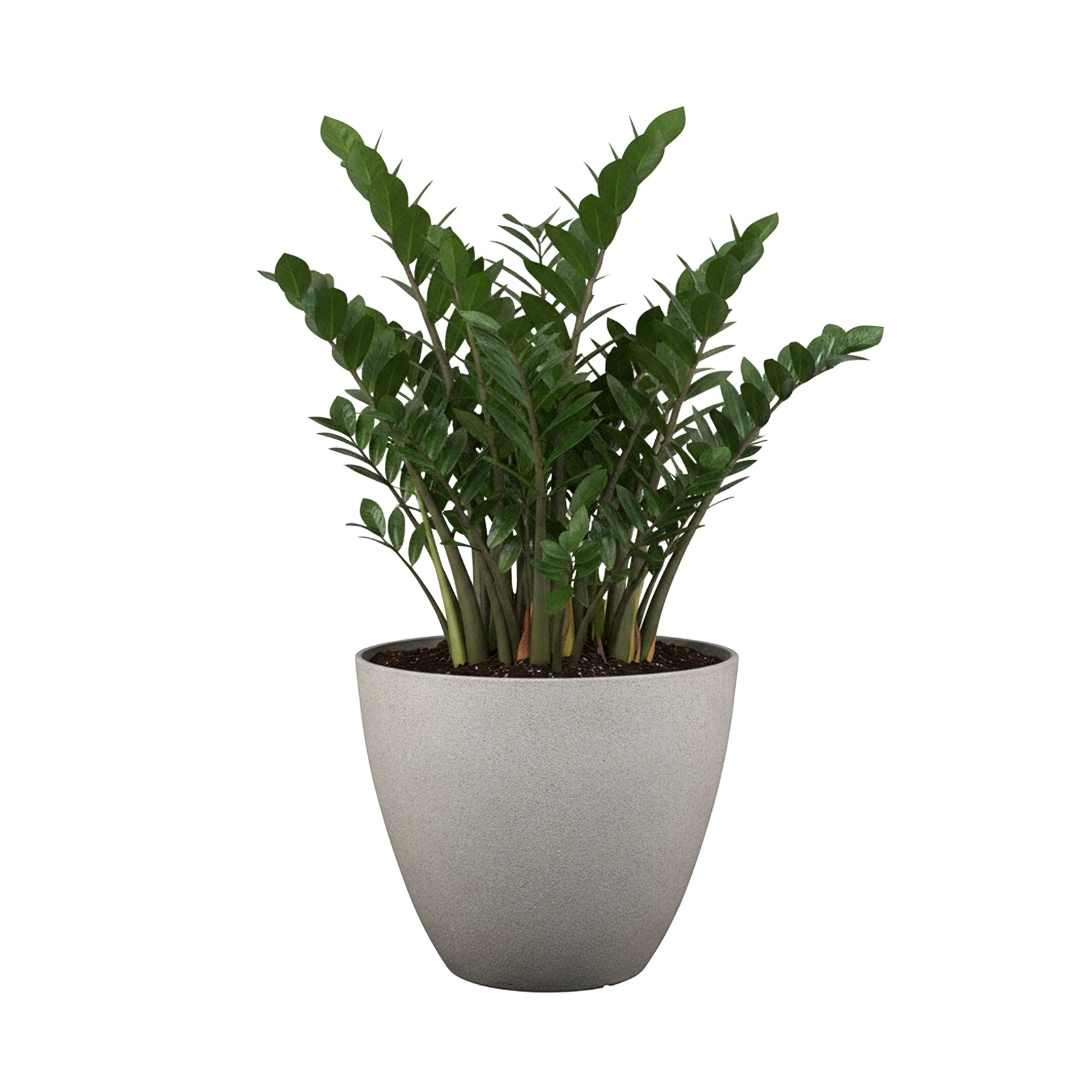Eden 30cm sandstone faux planter suitable for indoor and outdoor plant display