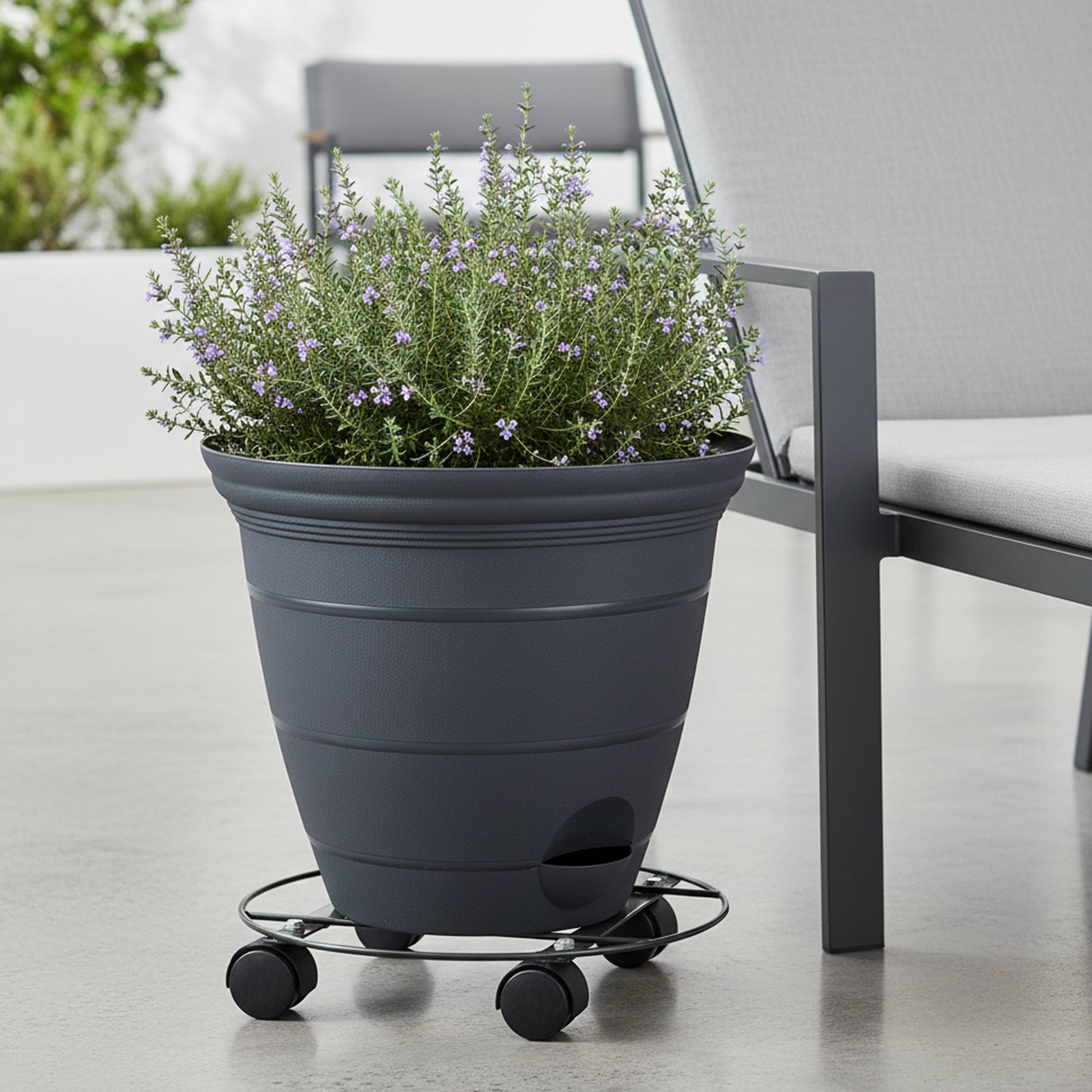Eden 35cm heavy duty round pot plant trolley ideal for large and heavy plant pots