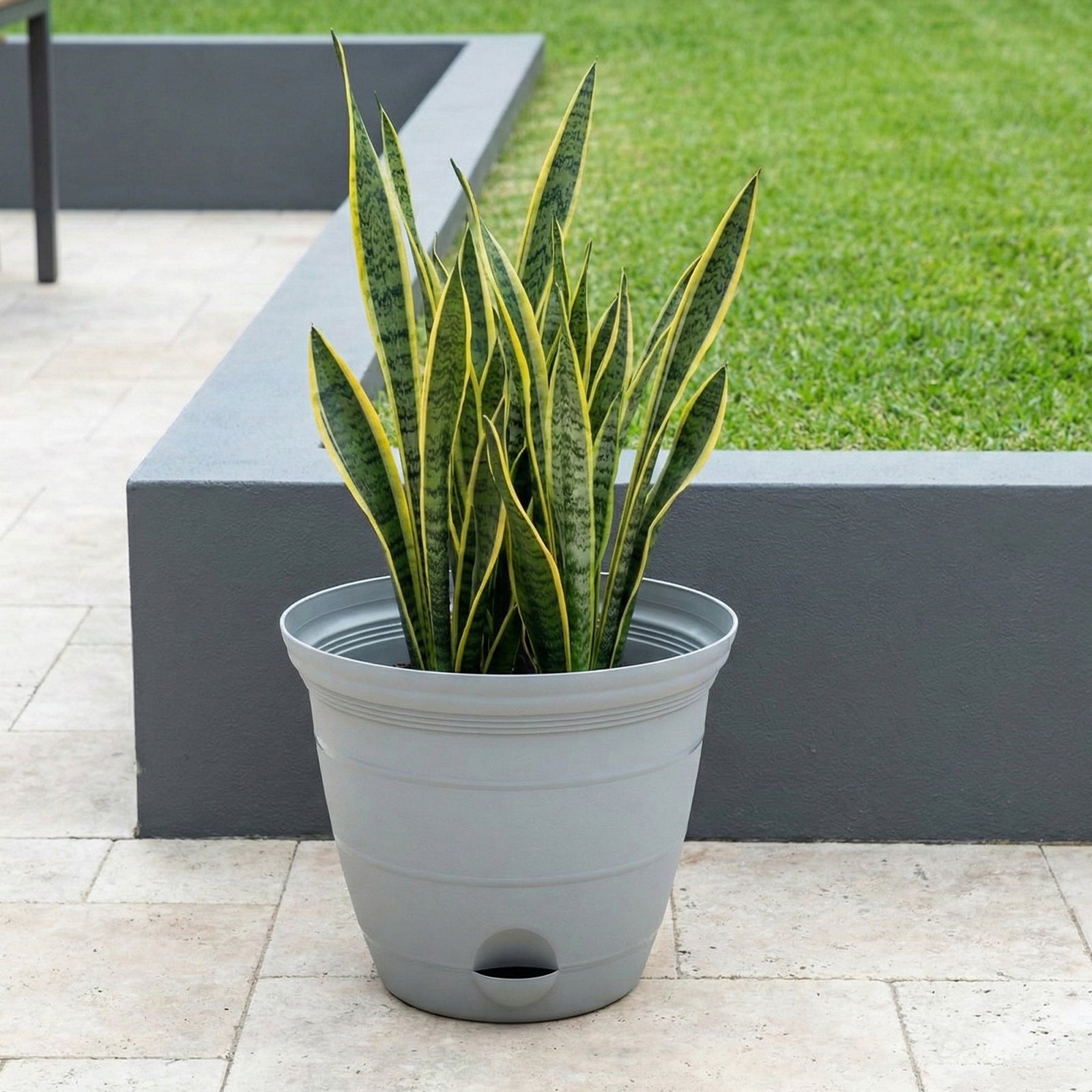 Eden 38cm grey Roman self-watering planter for feature plants and landscaping