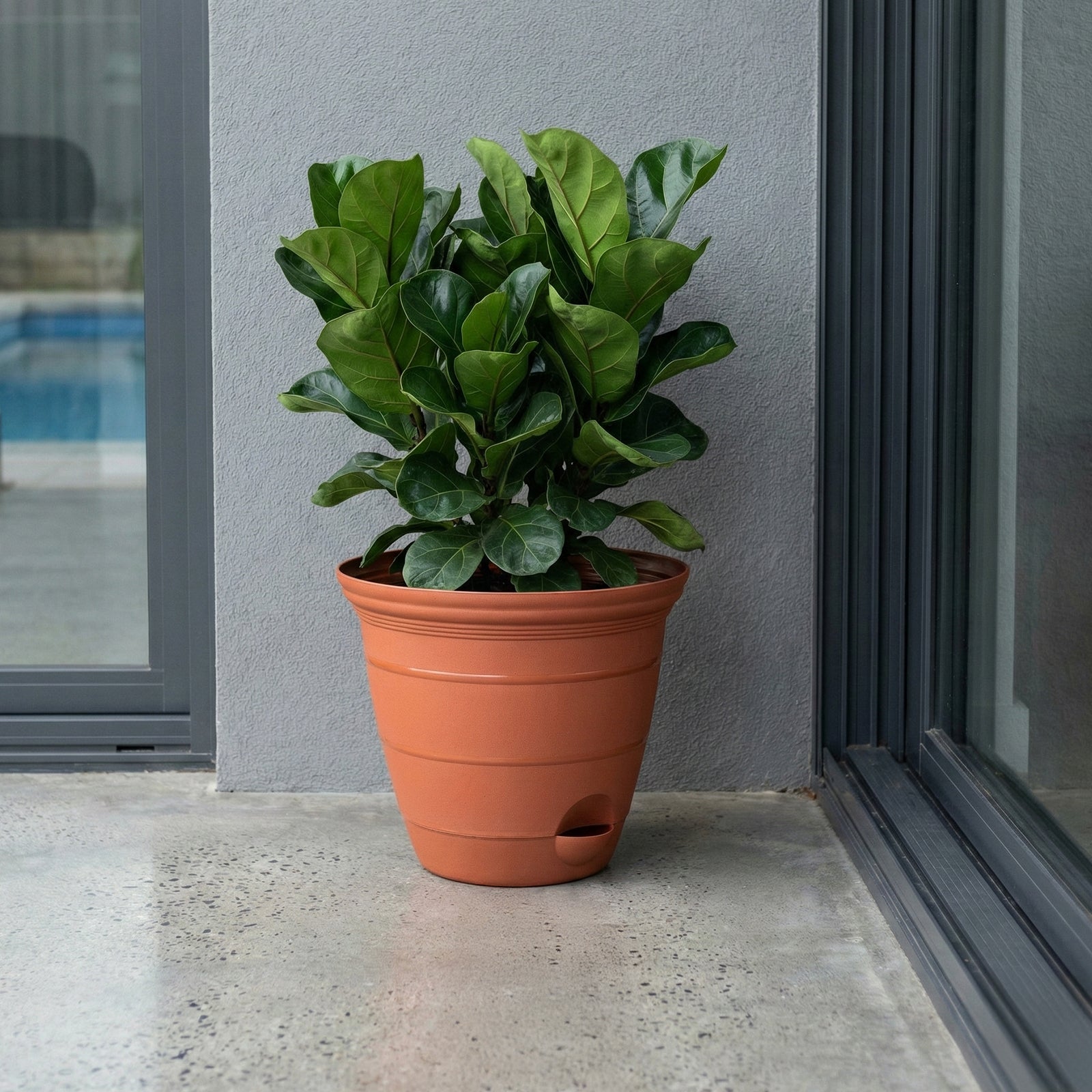 Eden 38cm terracotta Roman self-watering planter for feature plants