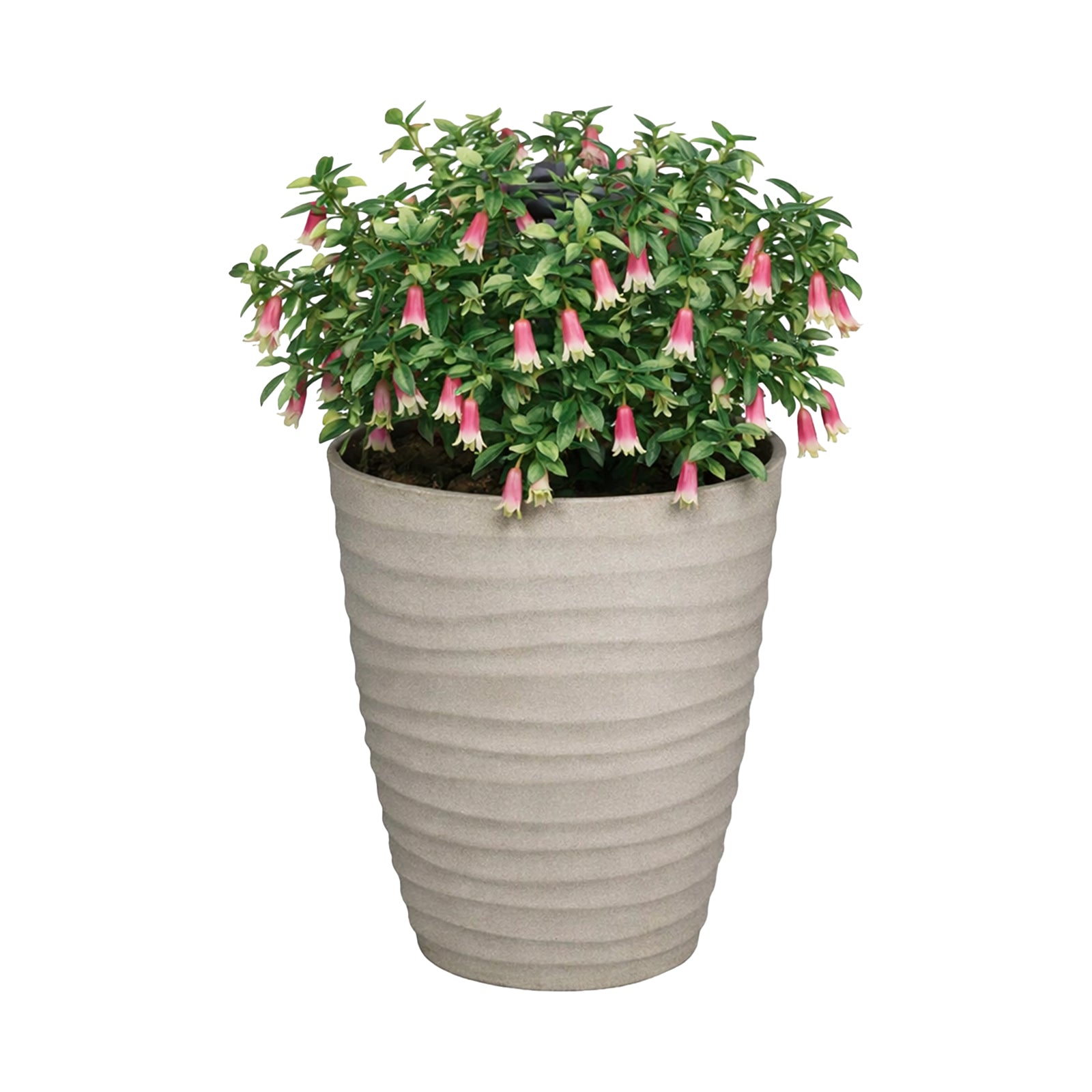 Eden 40cm sandstone tall wavy planter for modern indoor and outdoor plant styling
