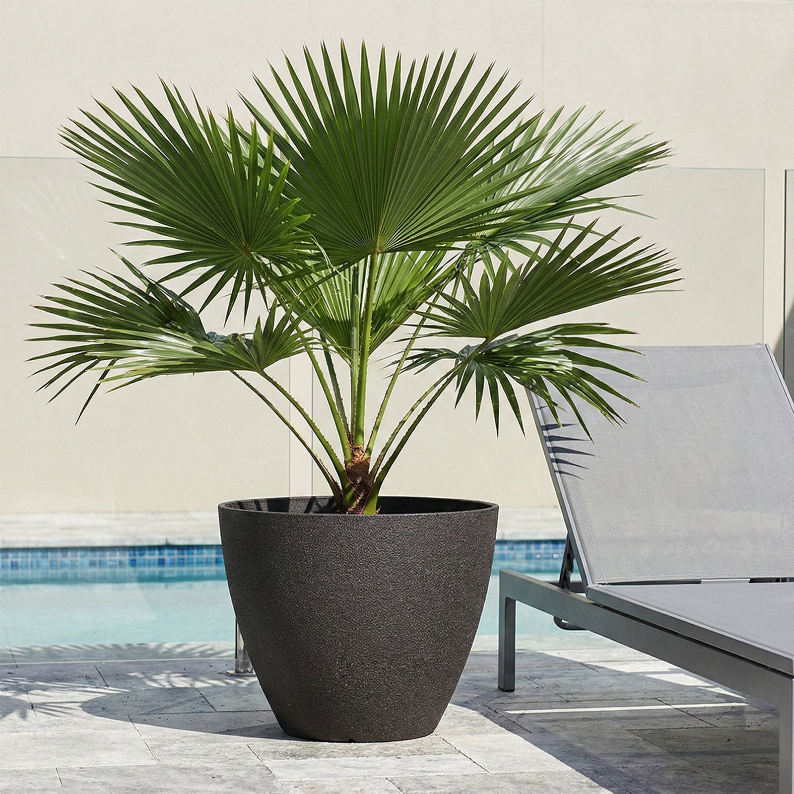 Eden 44cm black faux planter ideal for large indoor and outdoor plants