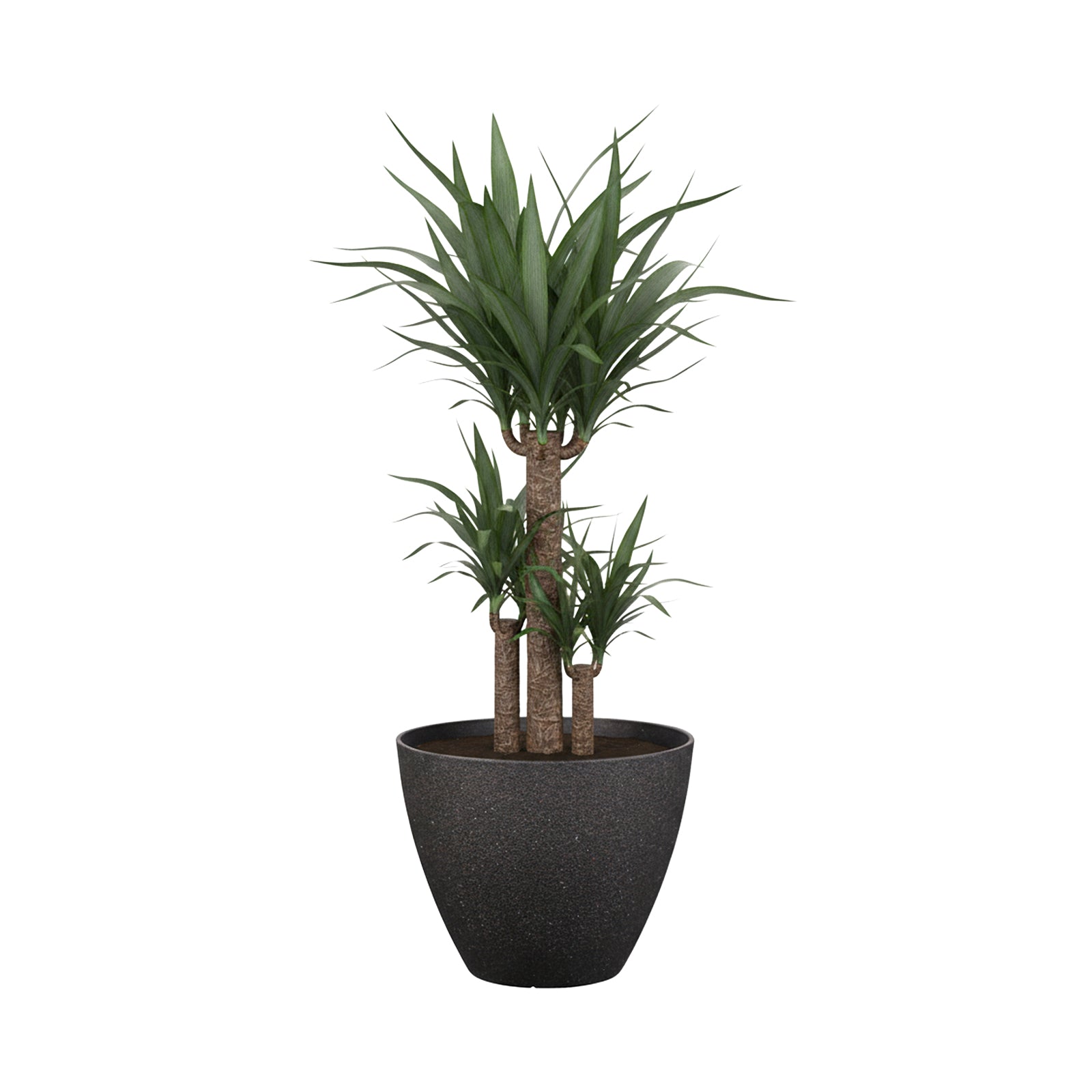 Eden 44cm black faux planter ideal for large indoor and outdoor plants