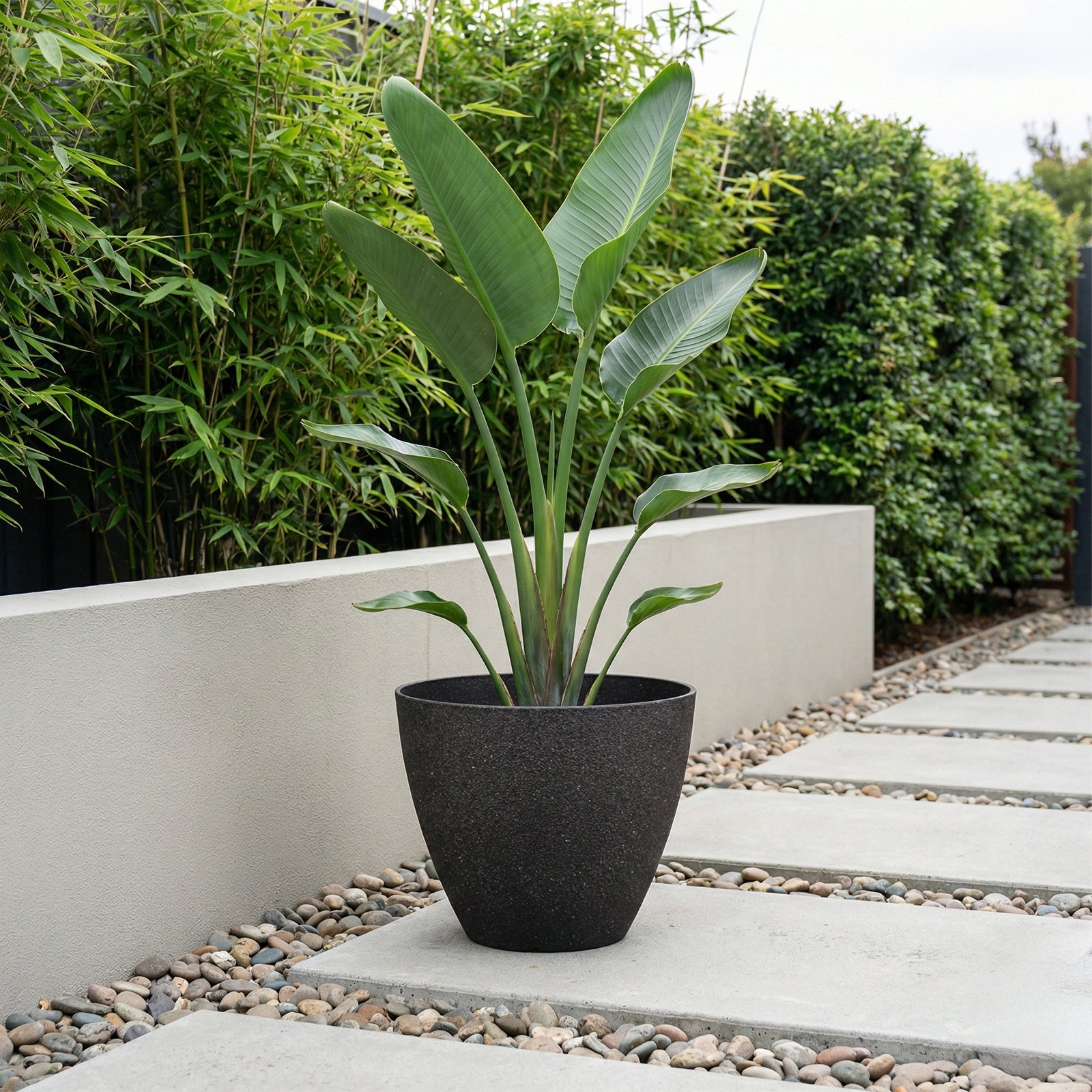 Eden 44cm black faux planter ideal for large indoor and outdoor plants