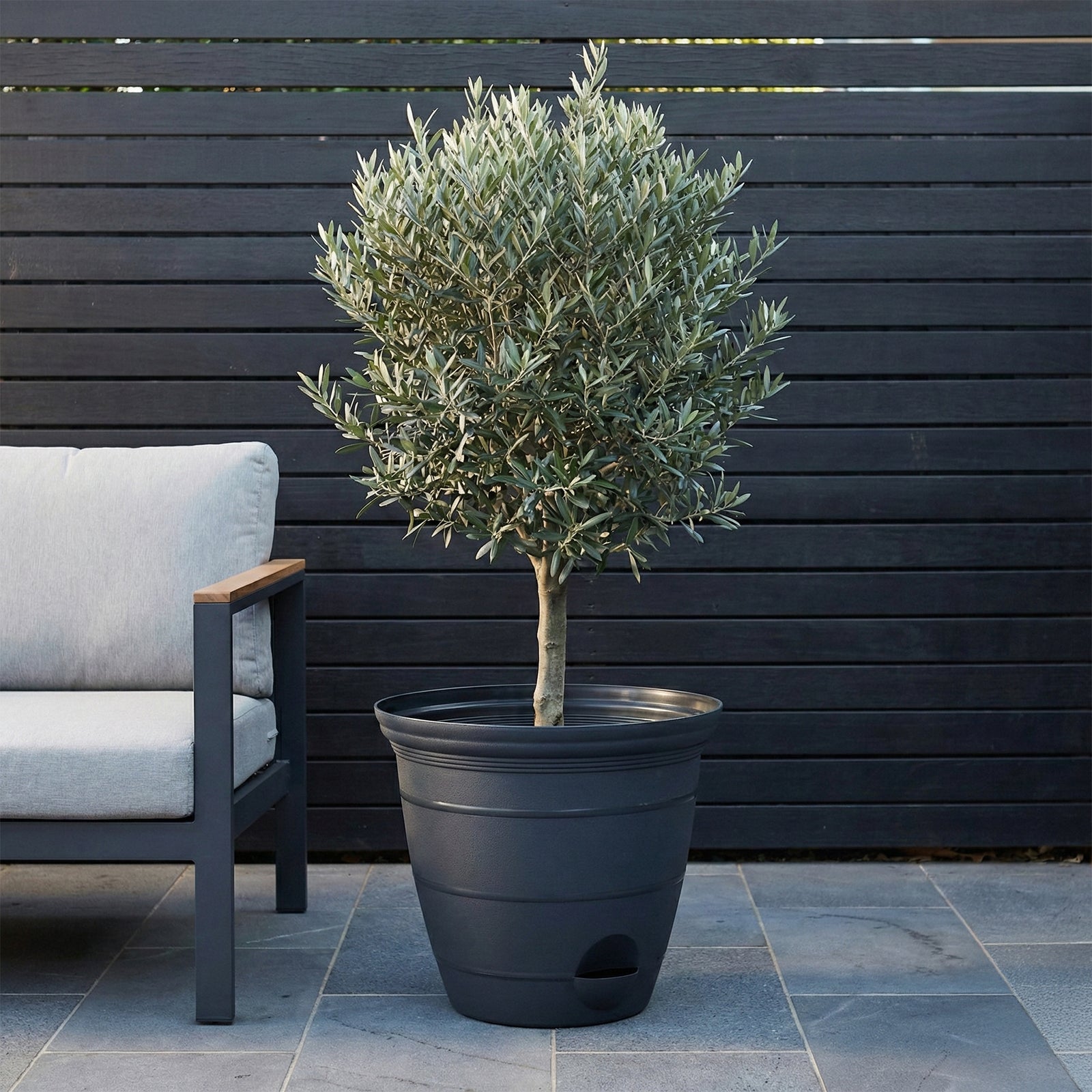 Eden extra large charcoal Roman self-watering planter for outdoor landscaping