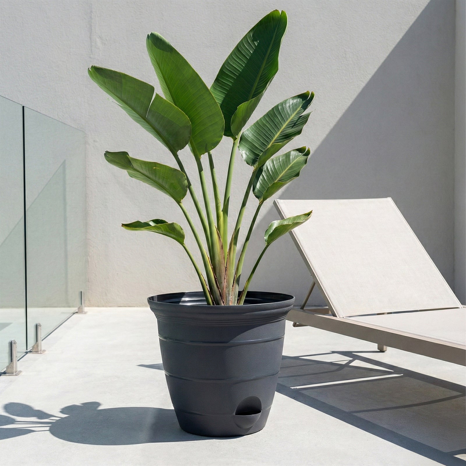 Eden extra large charcoal Roman self-watering planter for outdoor landscaping