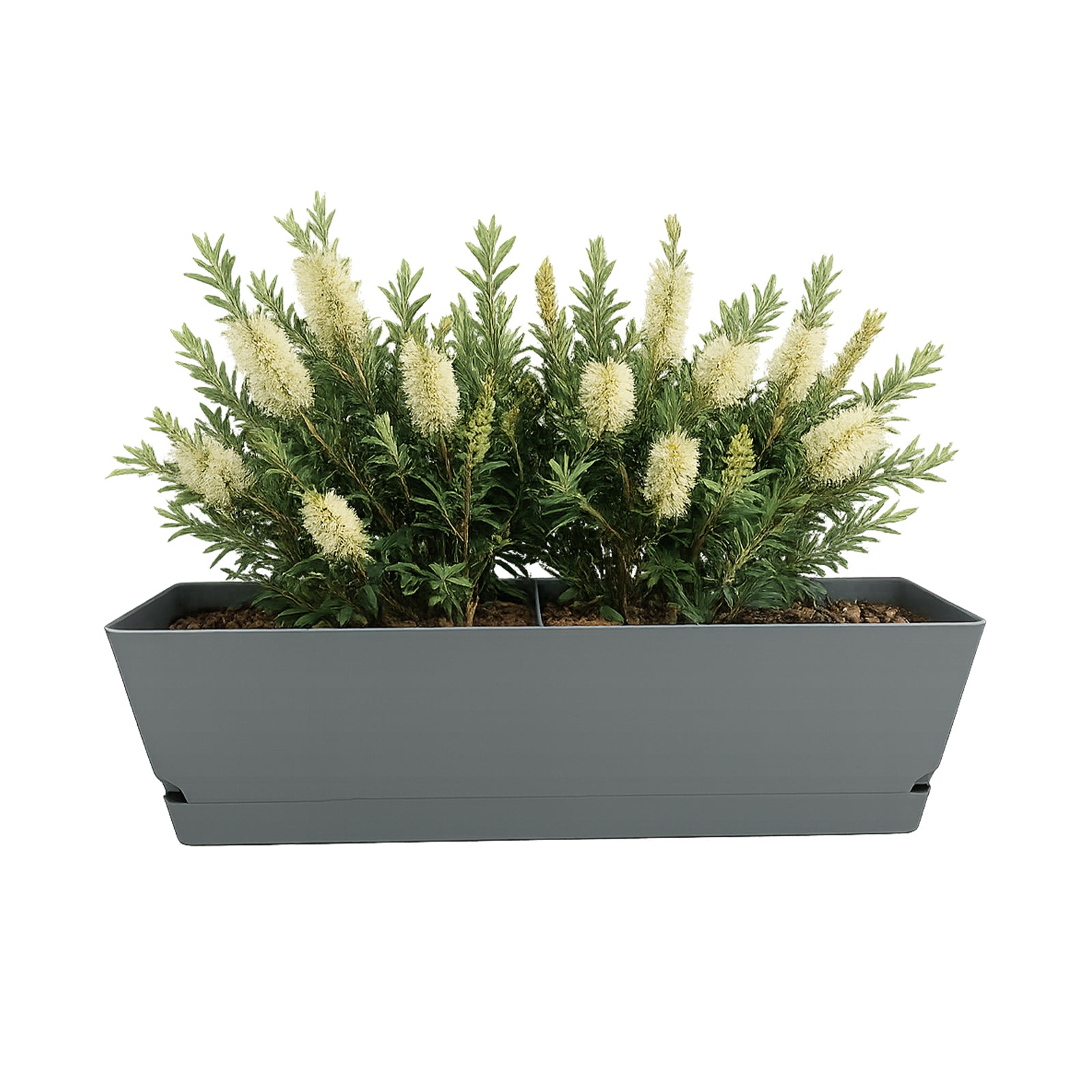 Eden grey Oslo self-watering trough planter for outdoor and balcony gardens