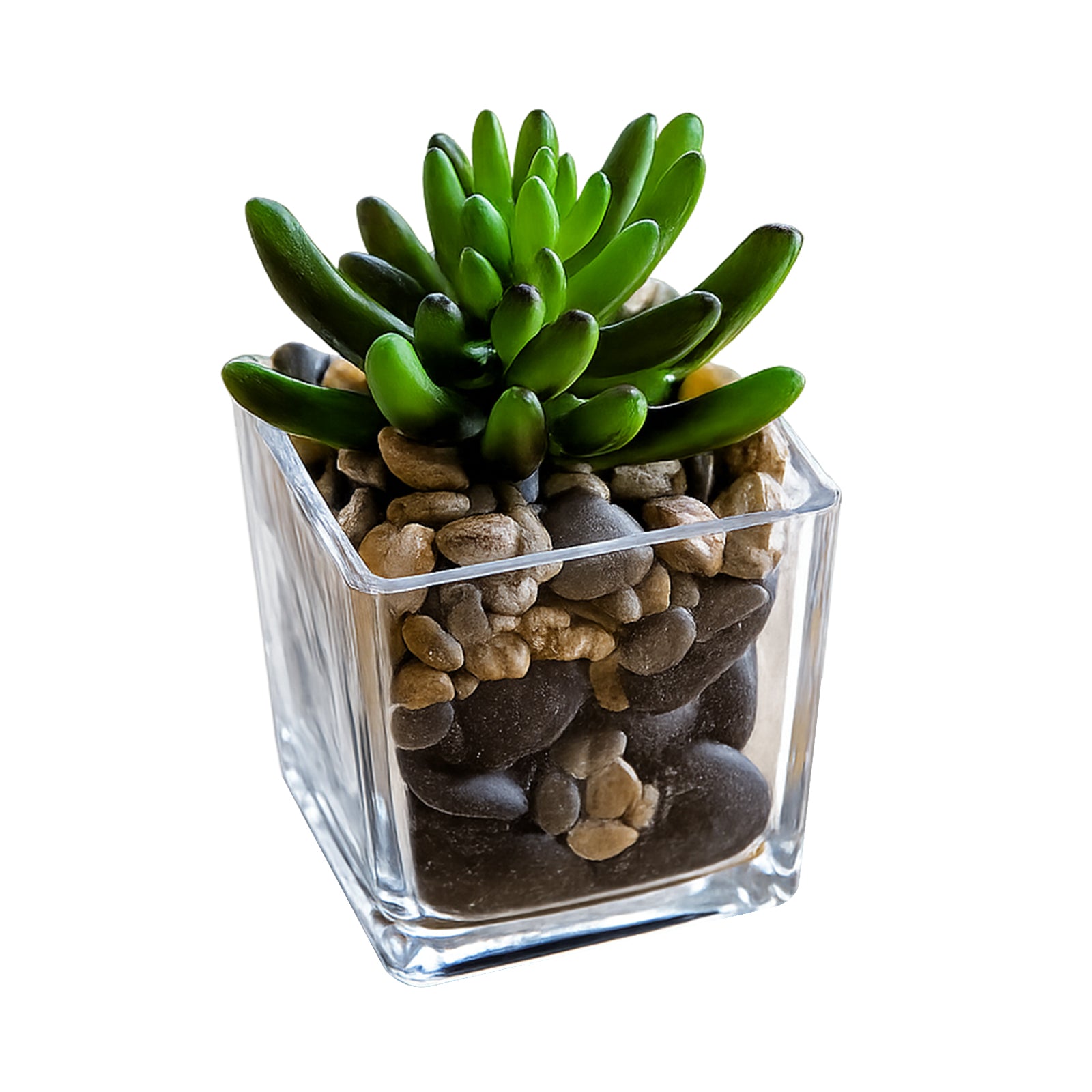 Eden 8cm clear glass square planter for small indoor plants, succulents and décor
