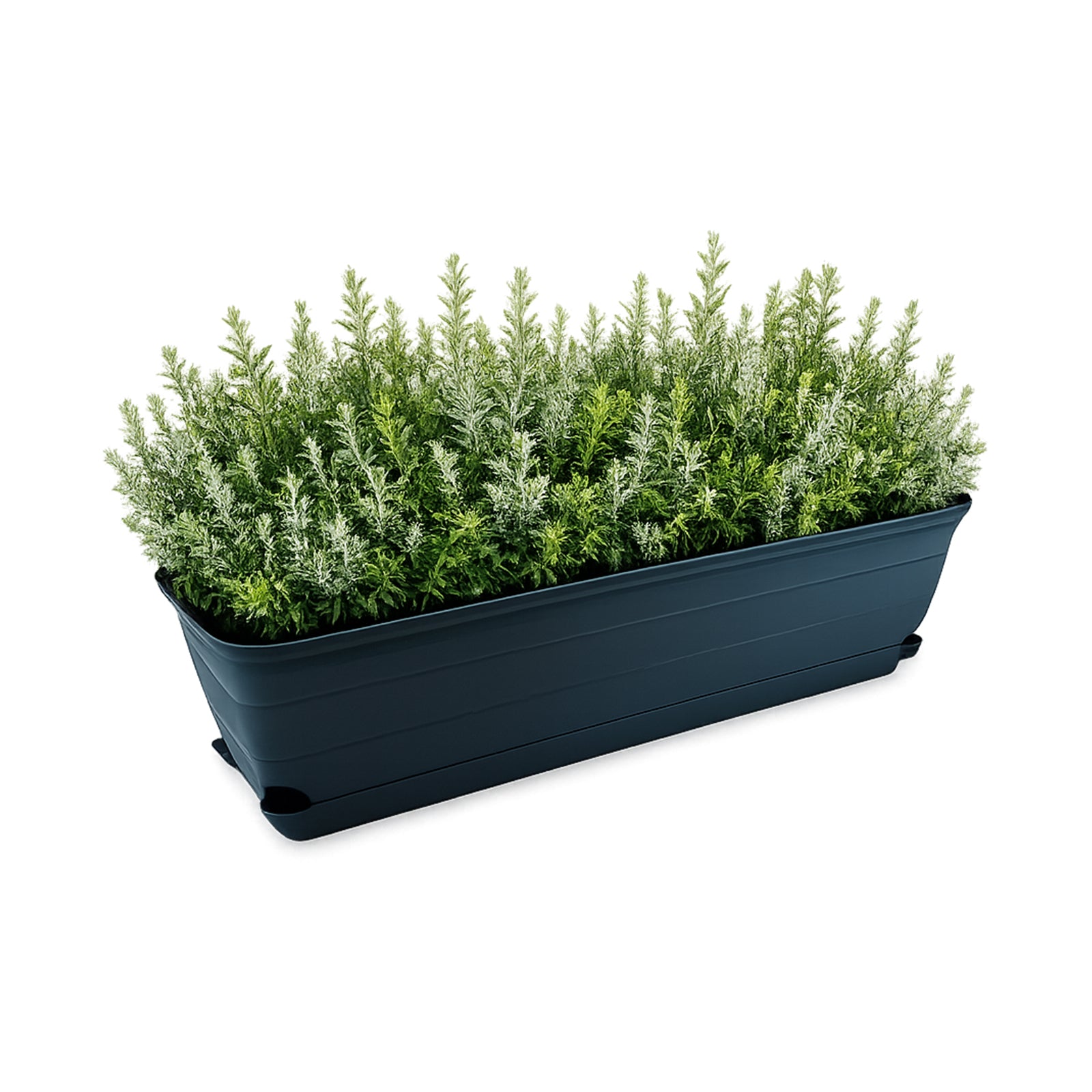 Eden charcoal Roman self-watering trough planter for patio and garden use