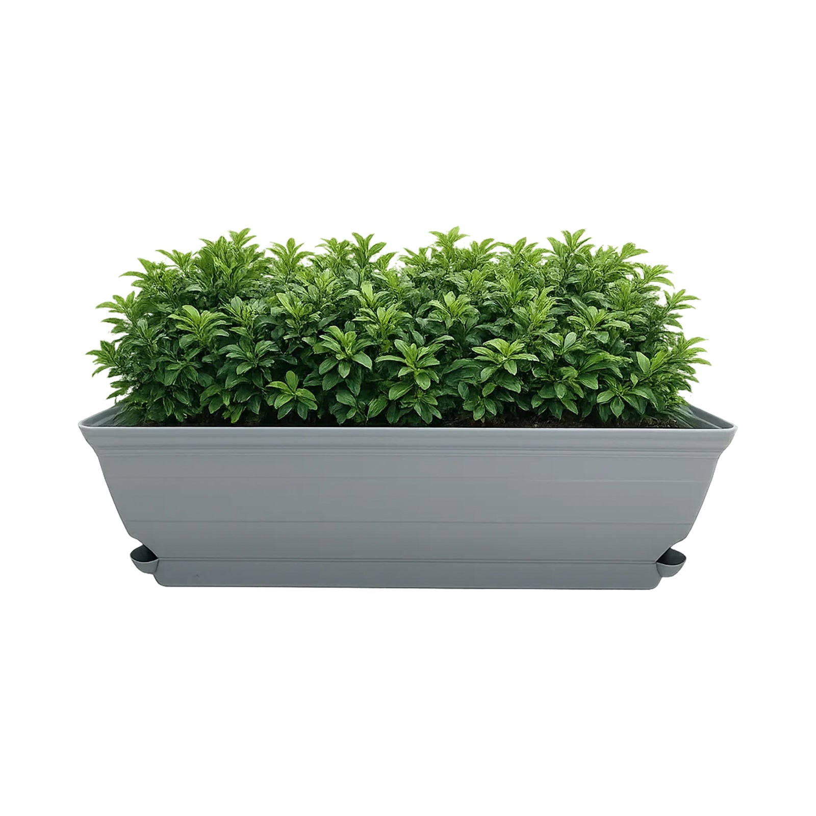 Eden grey Roman self-watering trough planter for outdoor garden planting