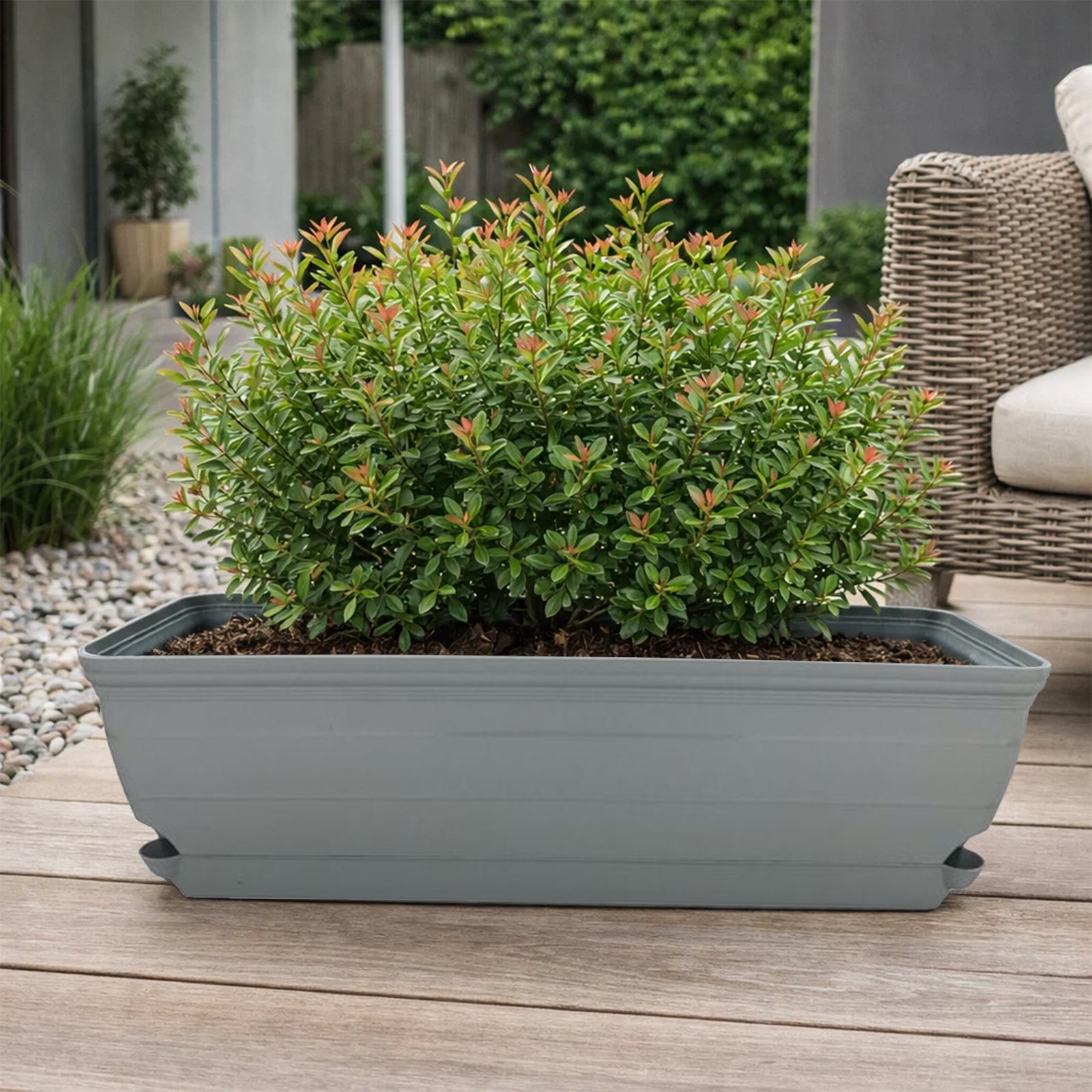 Eden Grey 60cm Roman Trough Self-Watering