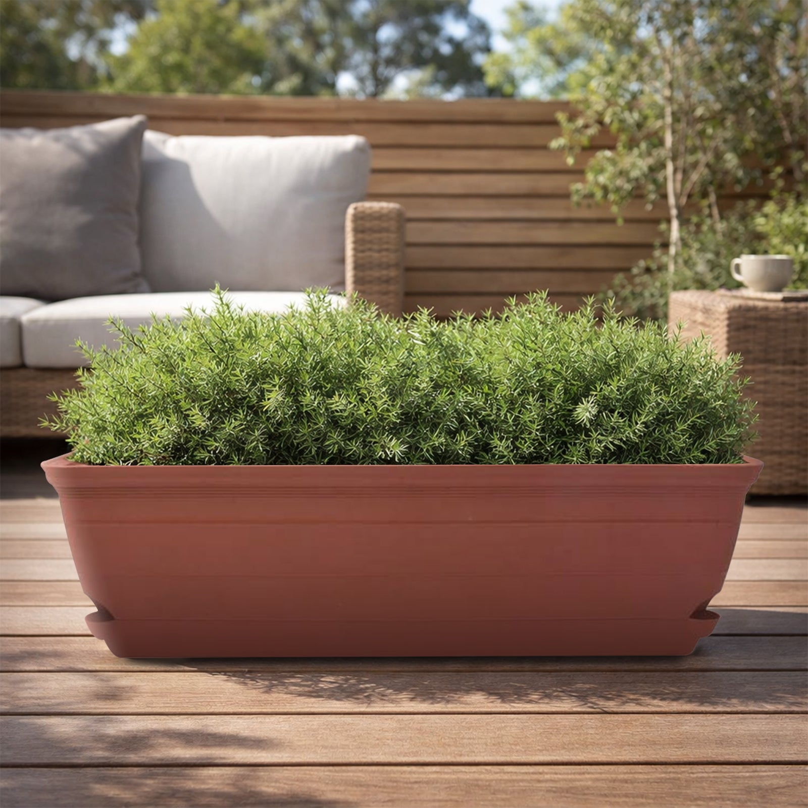 Eden terracotta Roman self-watering trough planter for classic garden styling