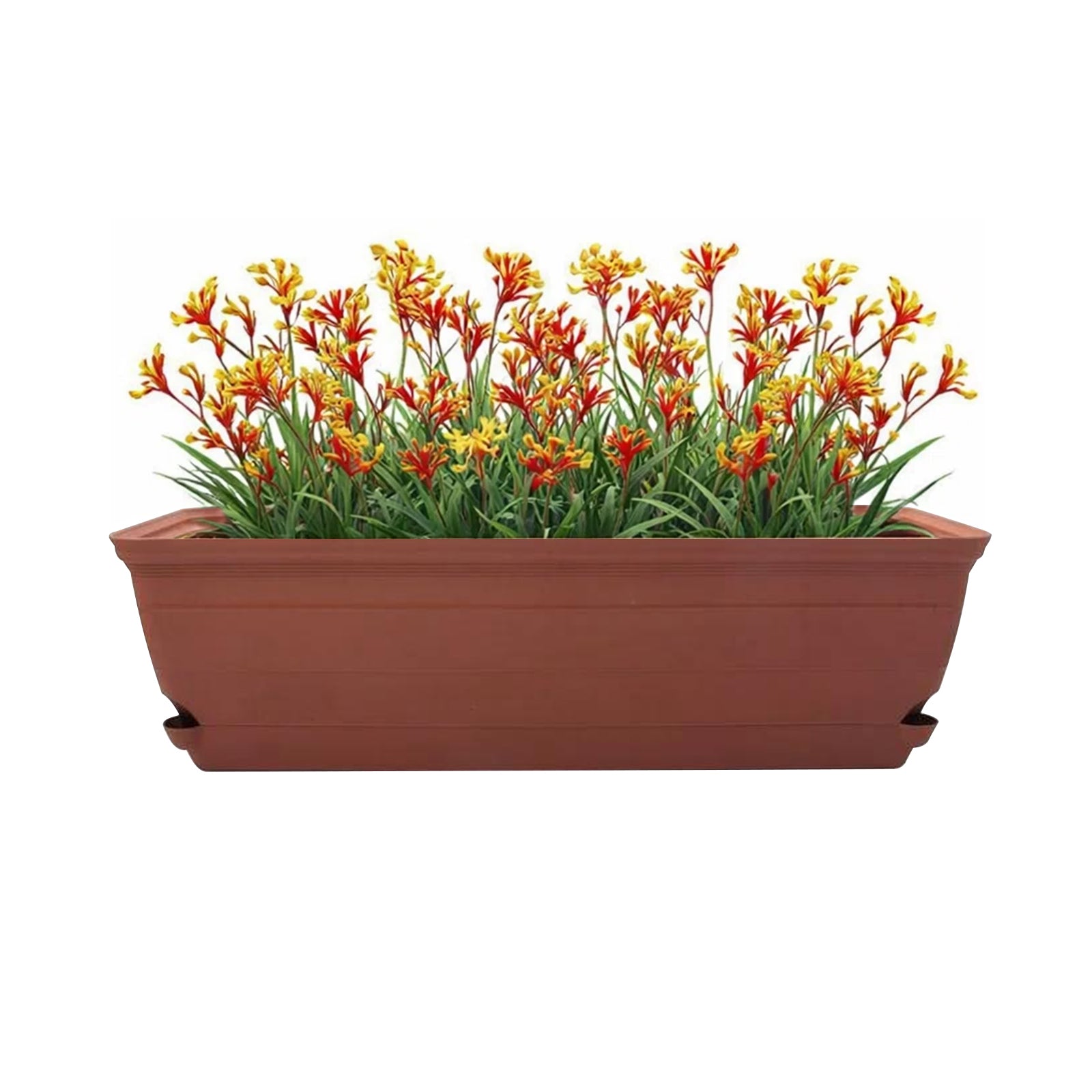 Eden terracotta Roman self-watering trough planter for classic garden styling