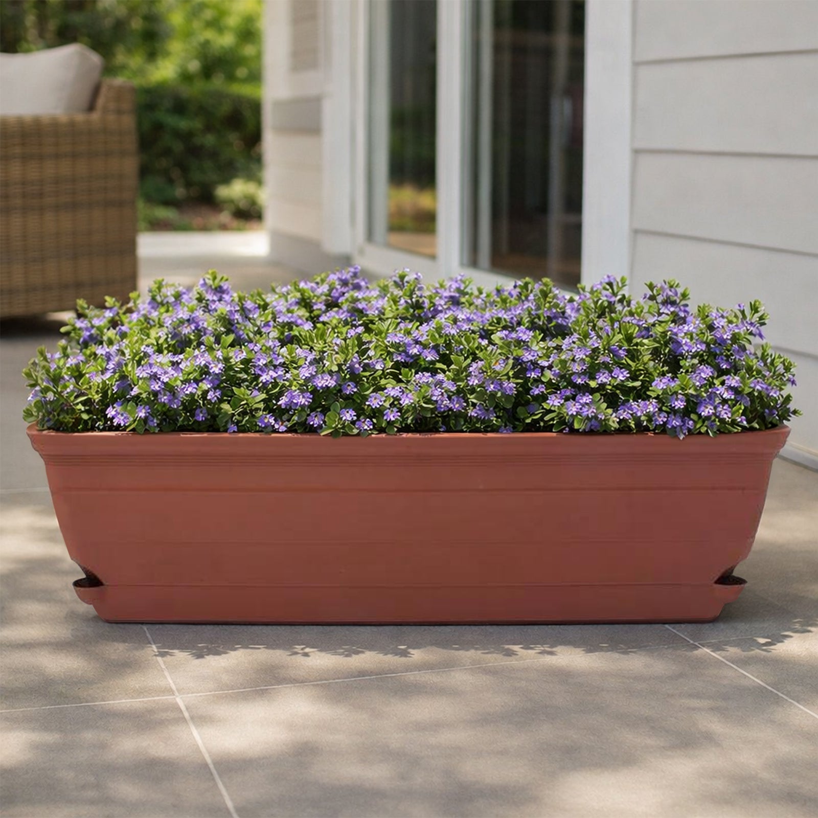 Eden terracotta Roman self-watering trough planter for classic garden styling