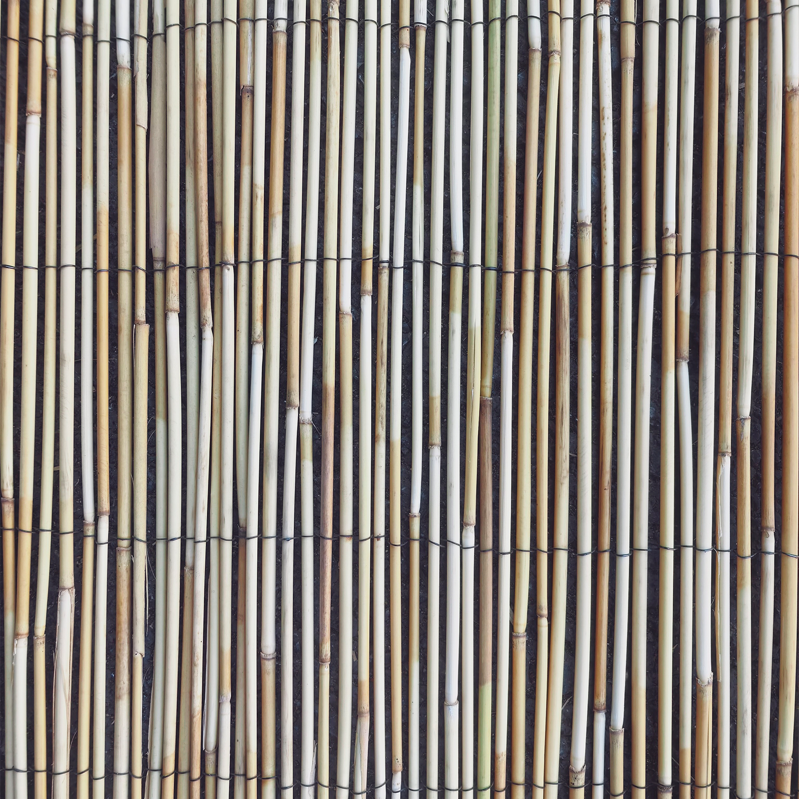 Eden 1 x 3m Euro Reed Screen