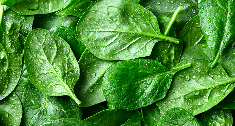 Leafy Greens